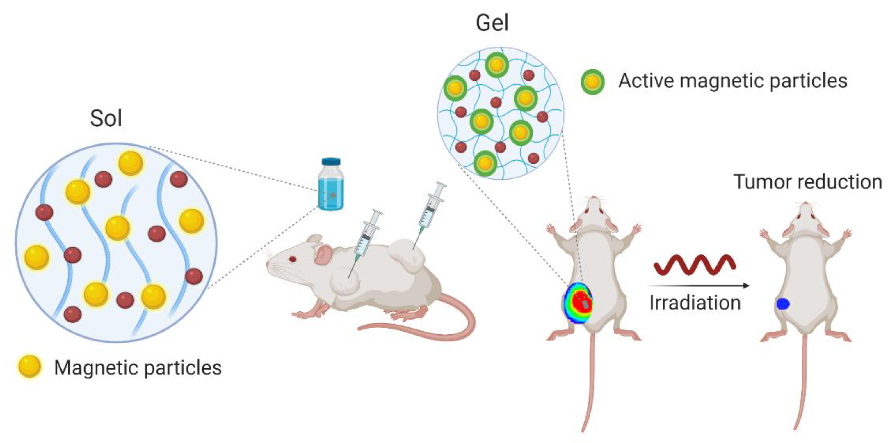 Cancers 13 01164 g004 Cancers 13 01164 g004