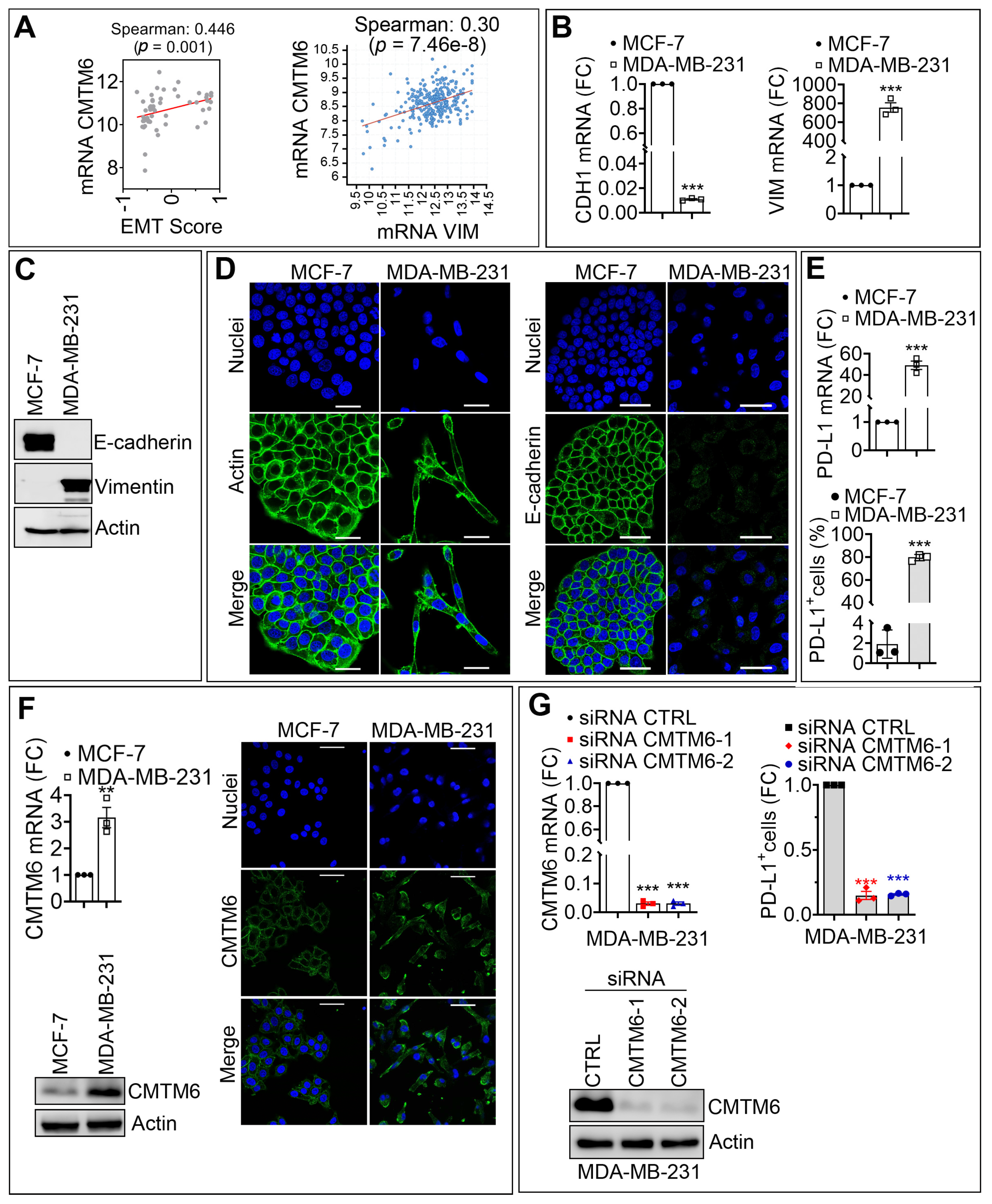 Cancers 13 01165 g001
