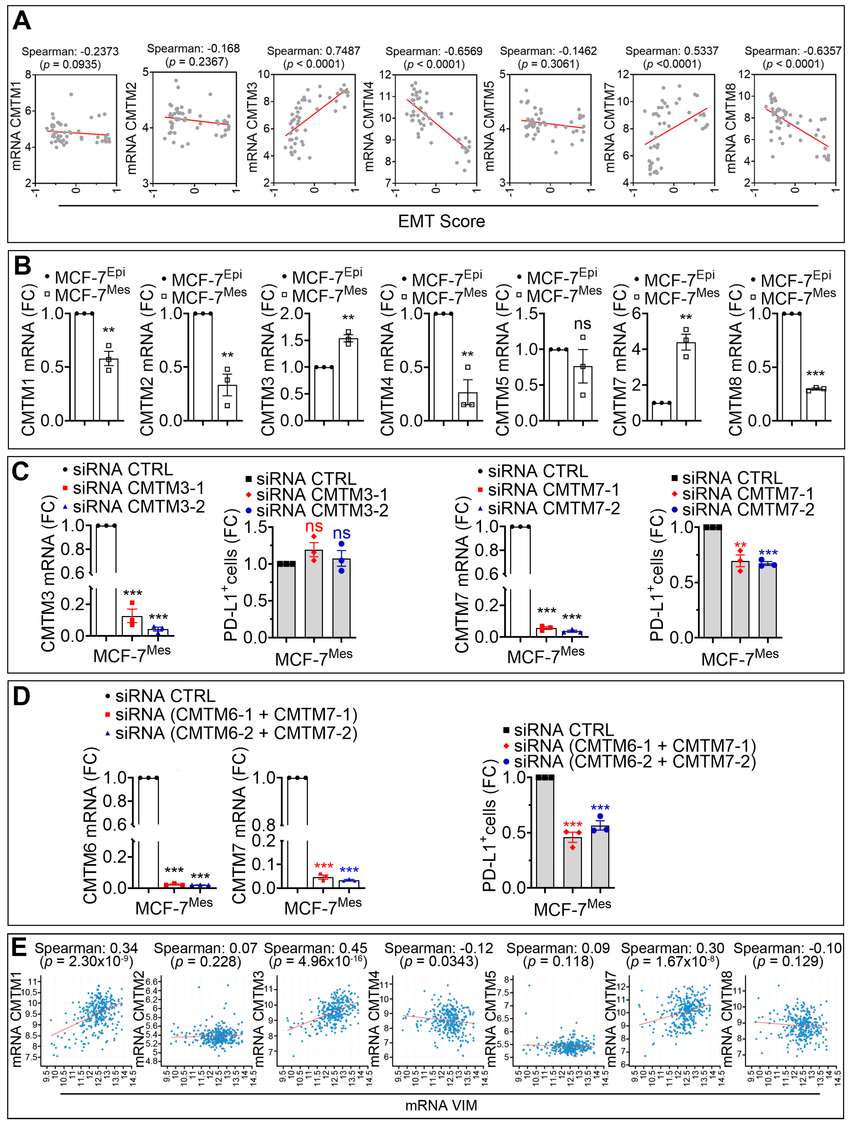 Cancers 13 01165 g003