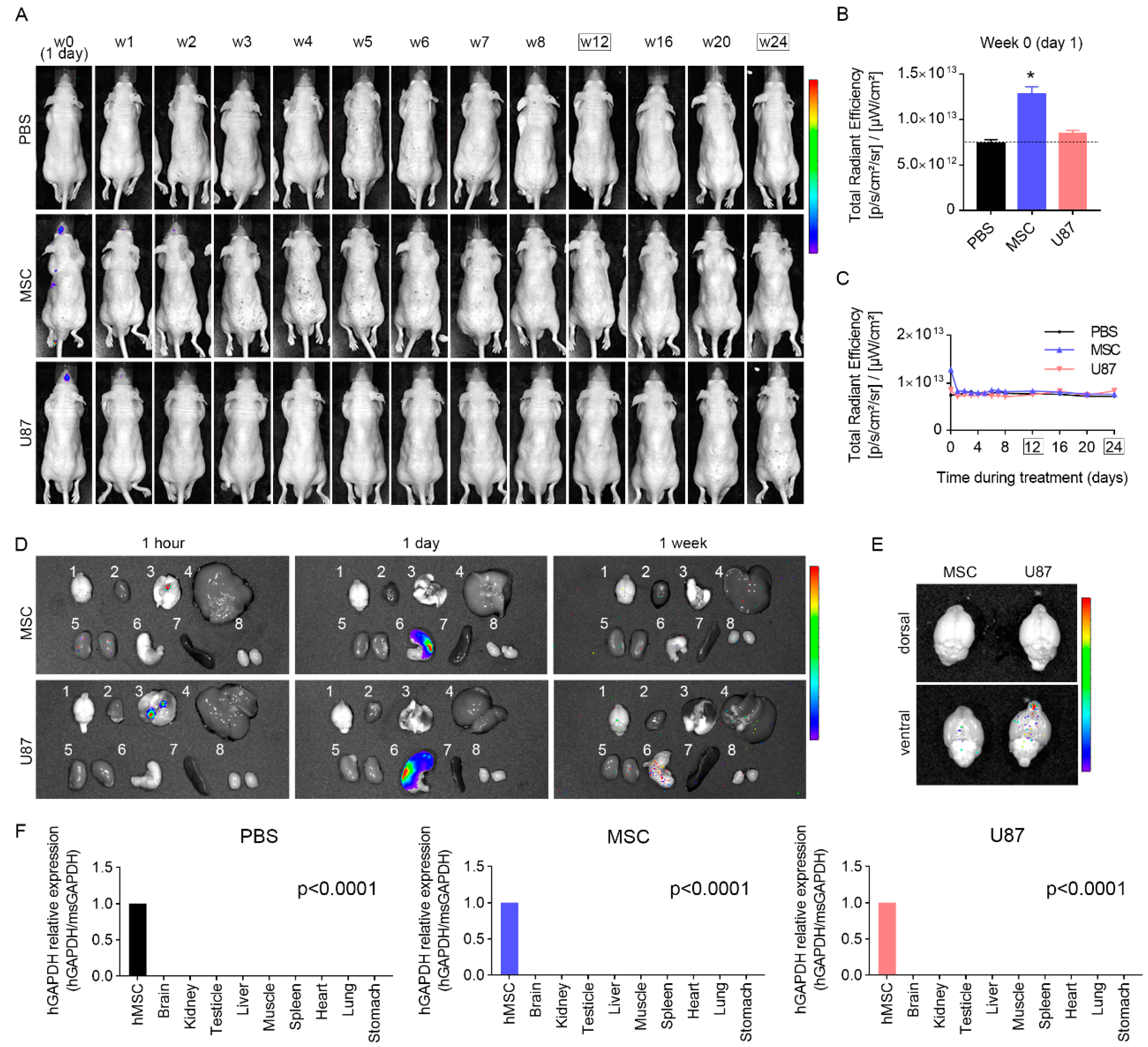 Cancers 13 01169 g006 Cancers 13 01169 g006