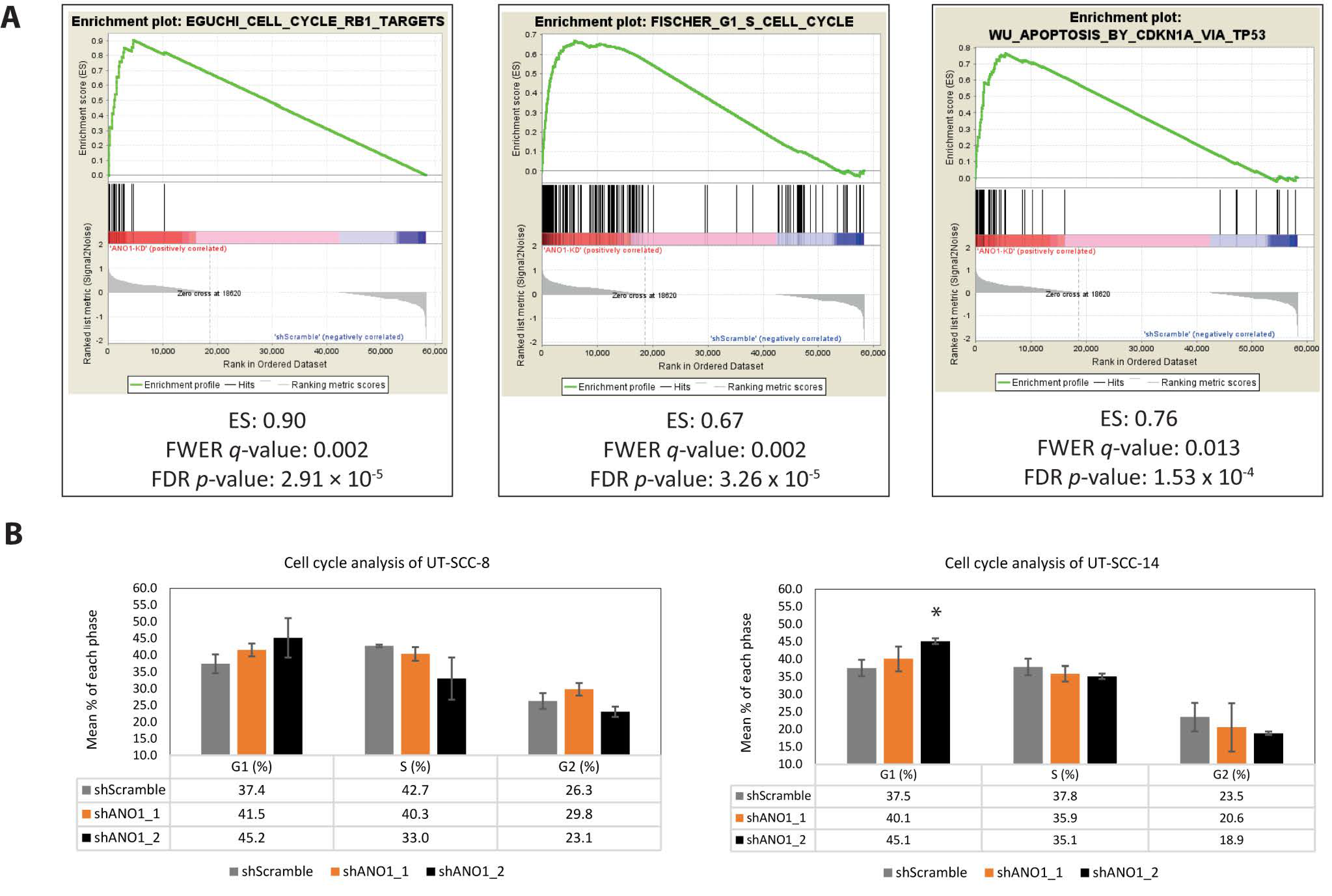 Cancers 13 01170 g003