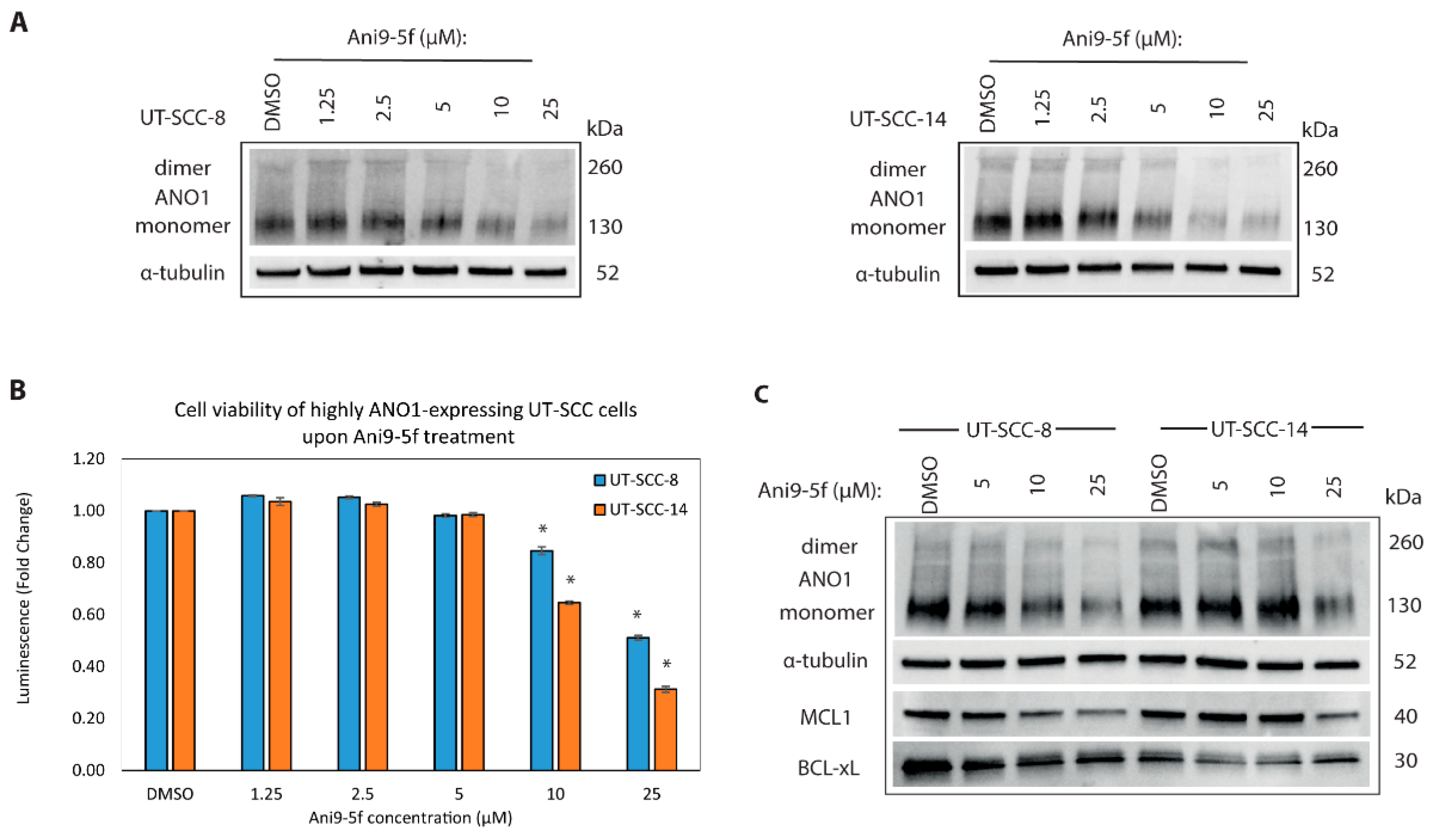 Cancers 13 01170 g005