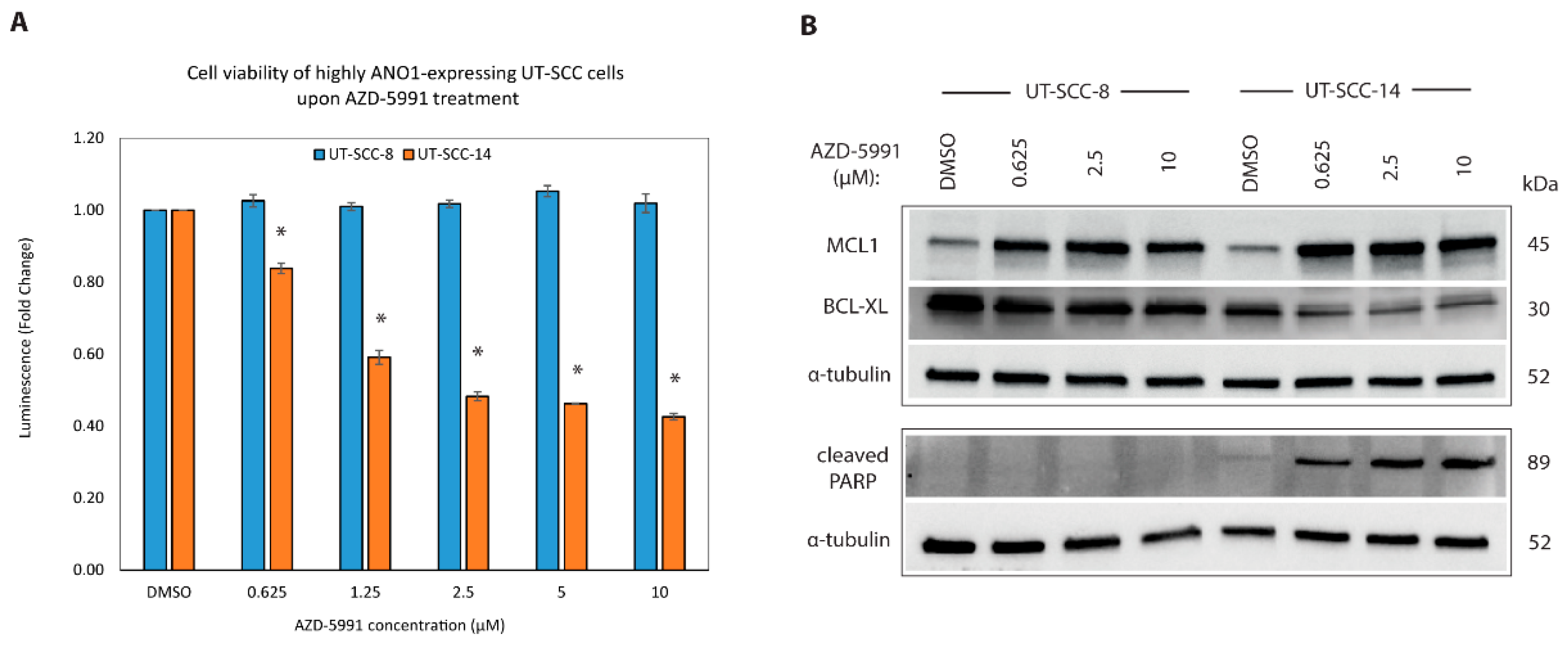 Cancers 13 01170 g006