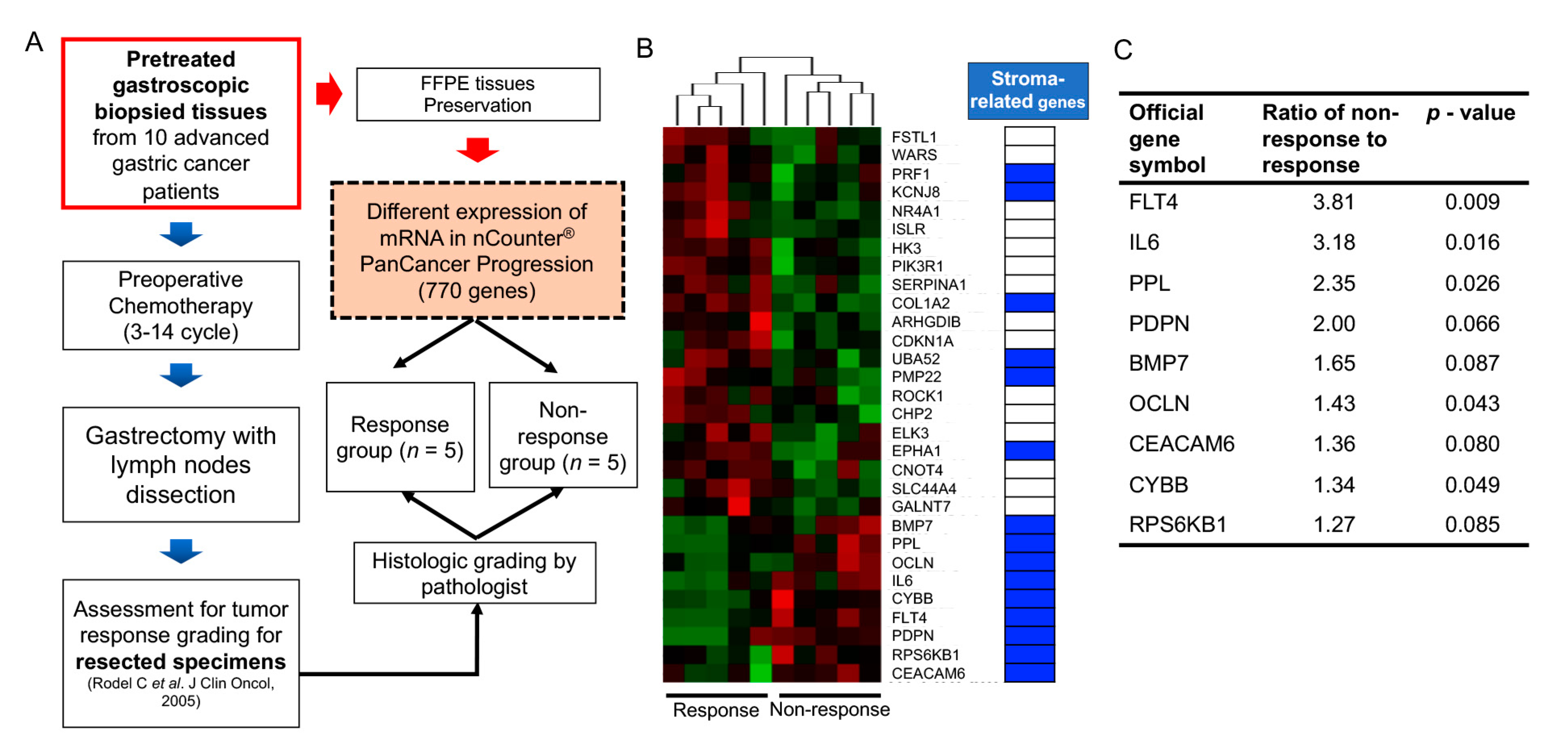 Cancers 13 01172 g001