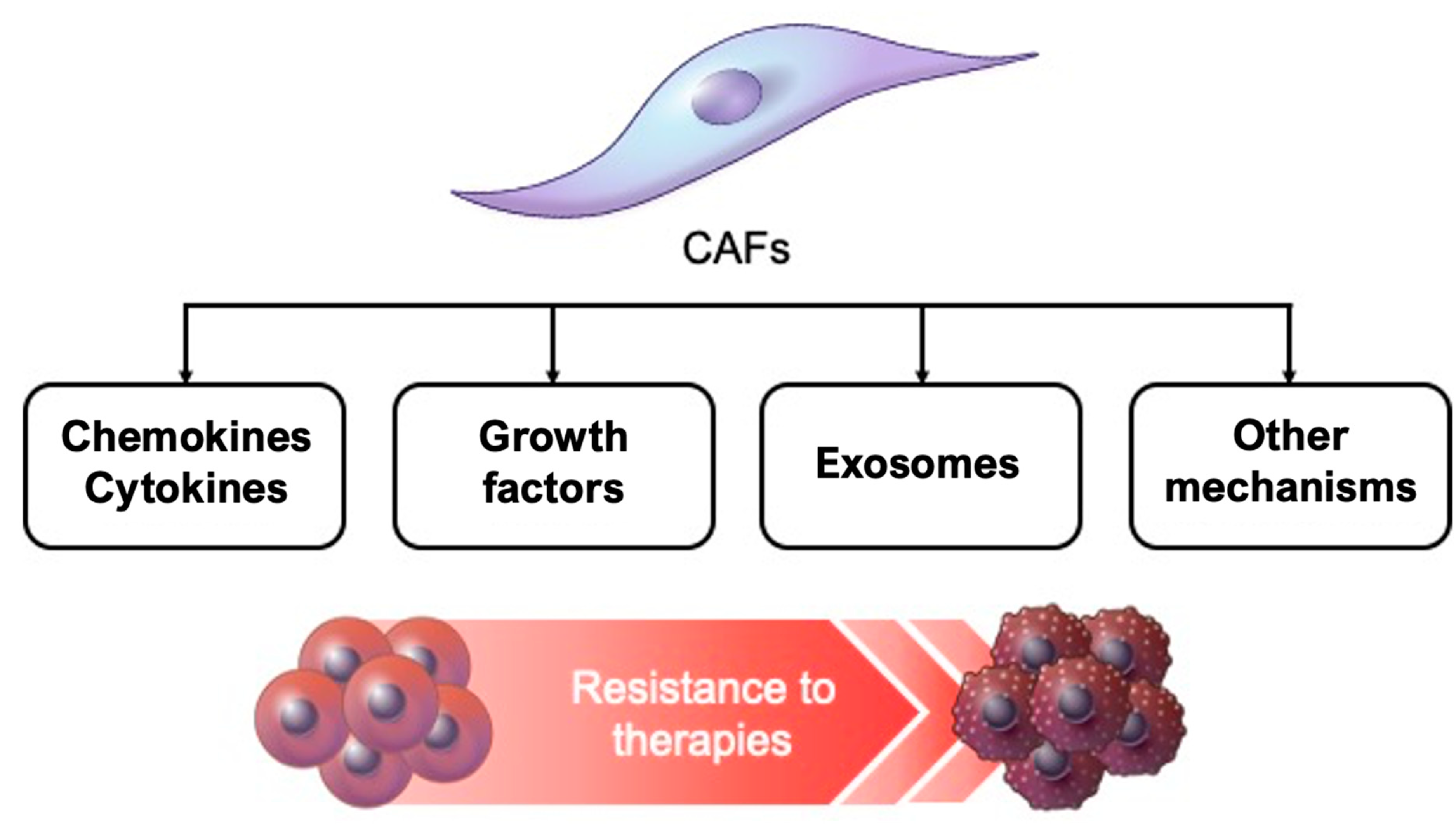 Cancers 13 01172 g003