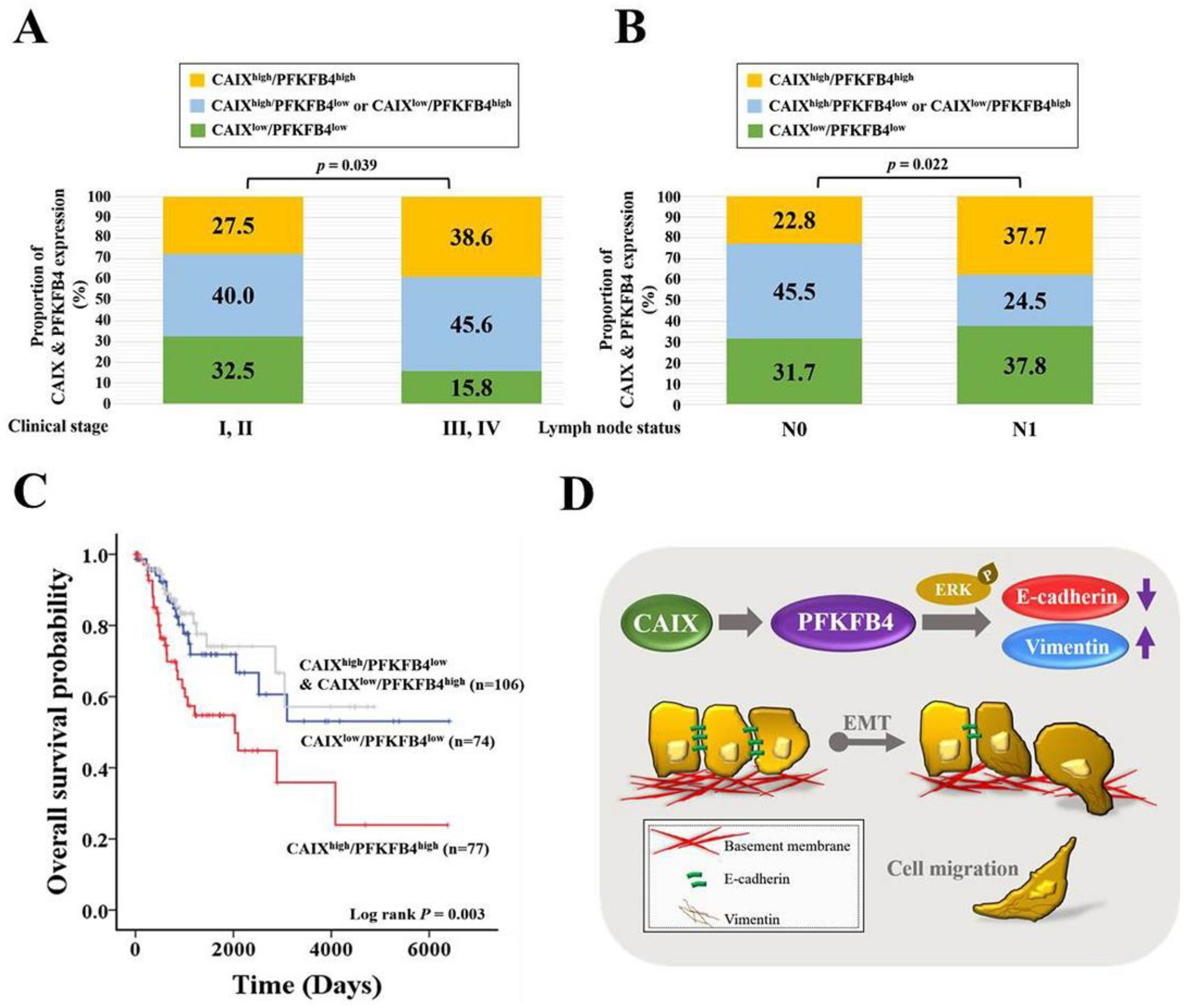 Cancers 13 01174 g005