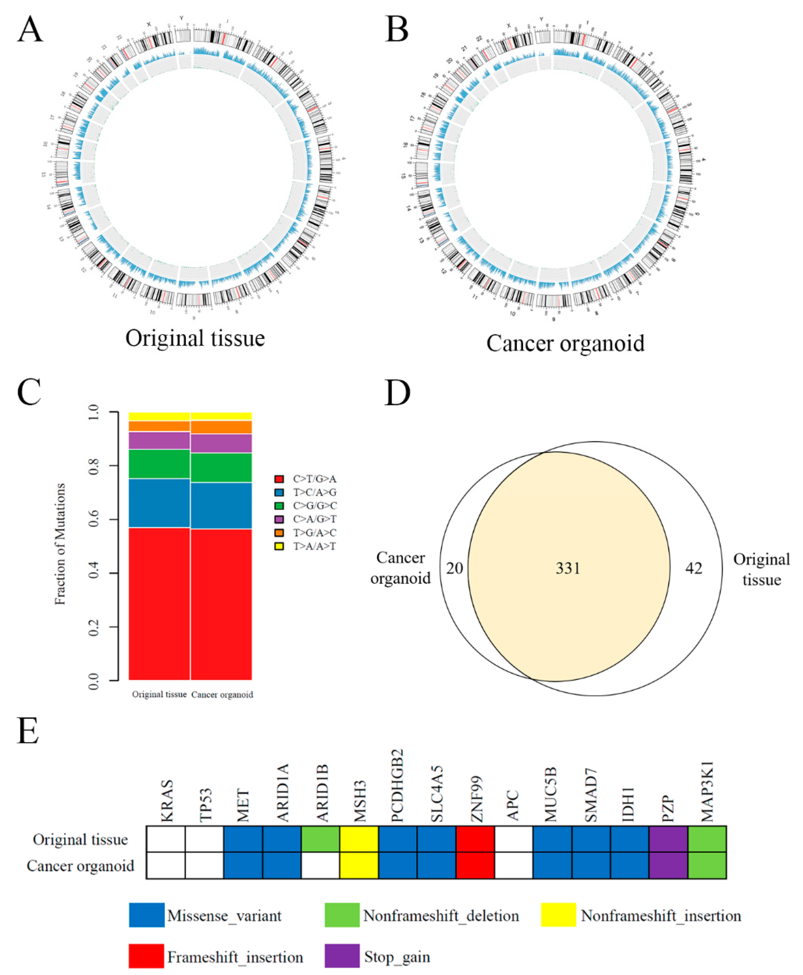 Cancers 13 01179 g005 Cancers 13 01179 g005