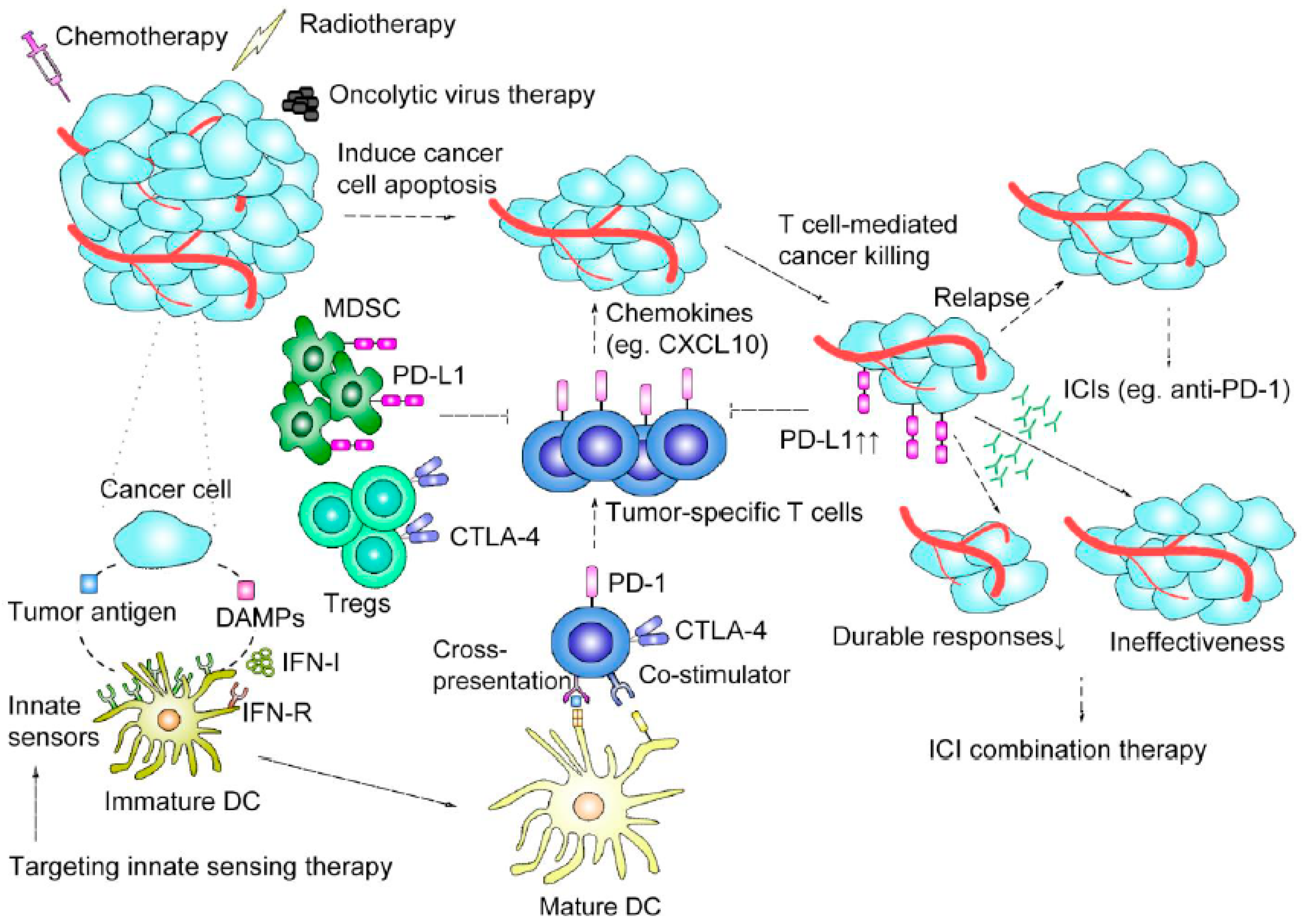 Cancers 13 01188 g001