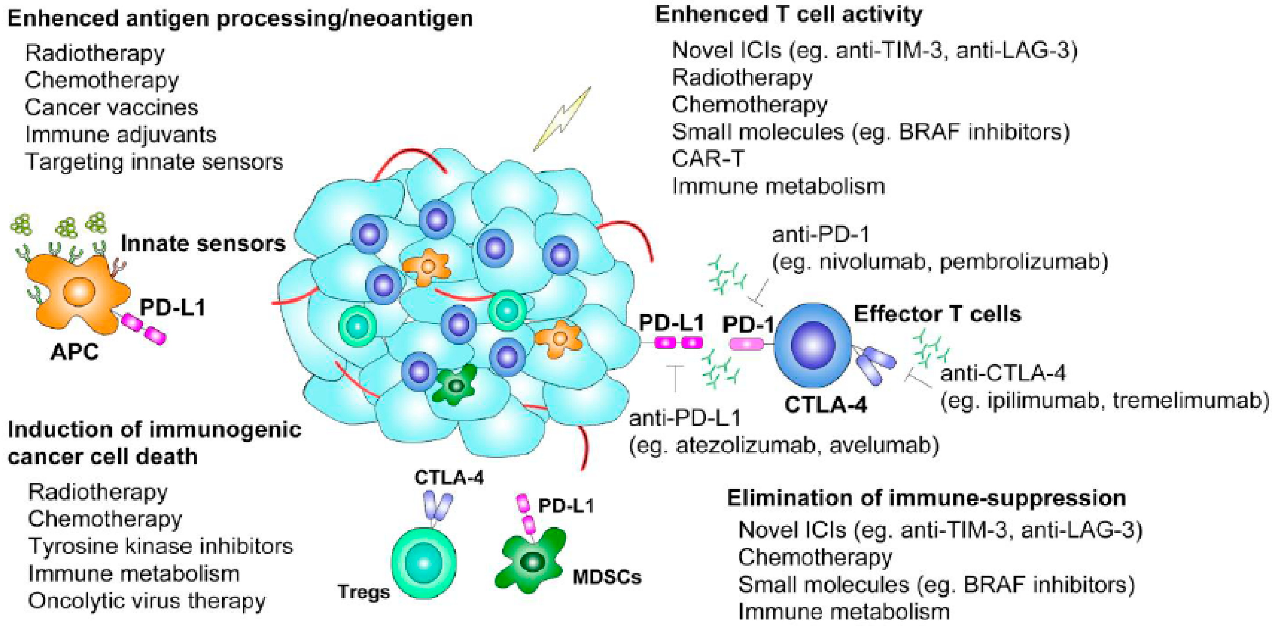 Cancers 13 01188 g002