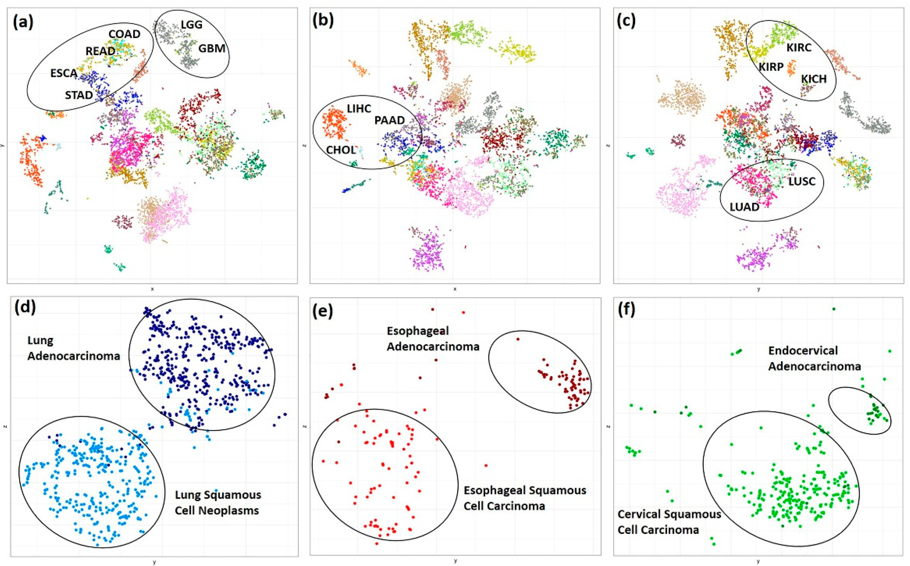 Cancers 13 01189 g001