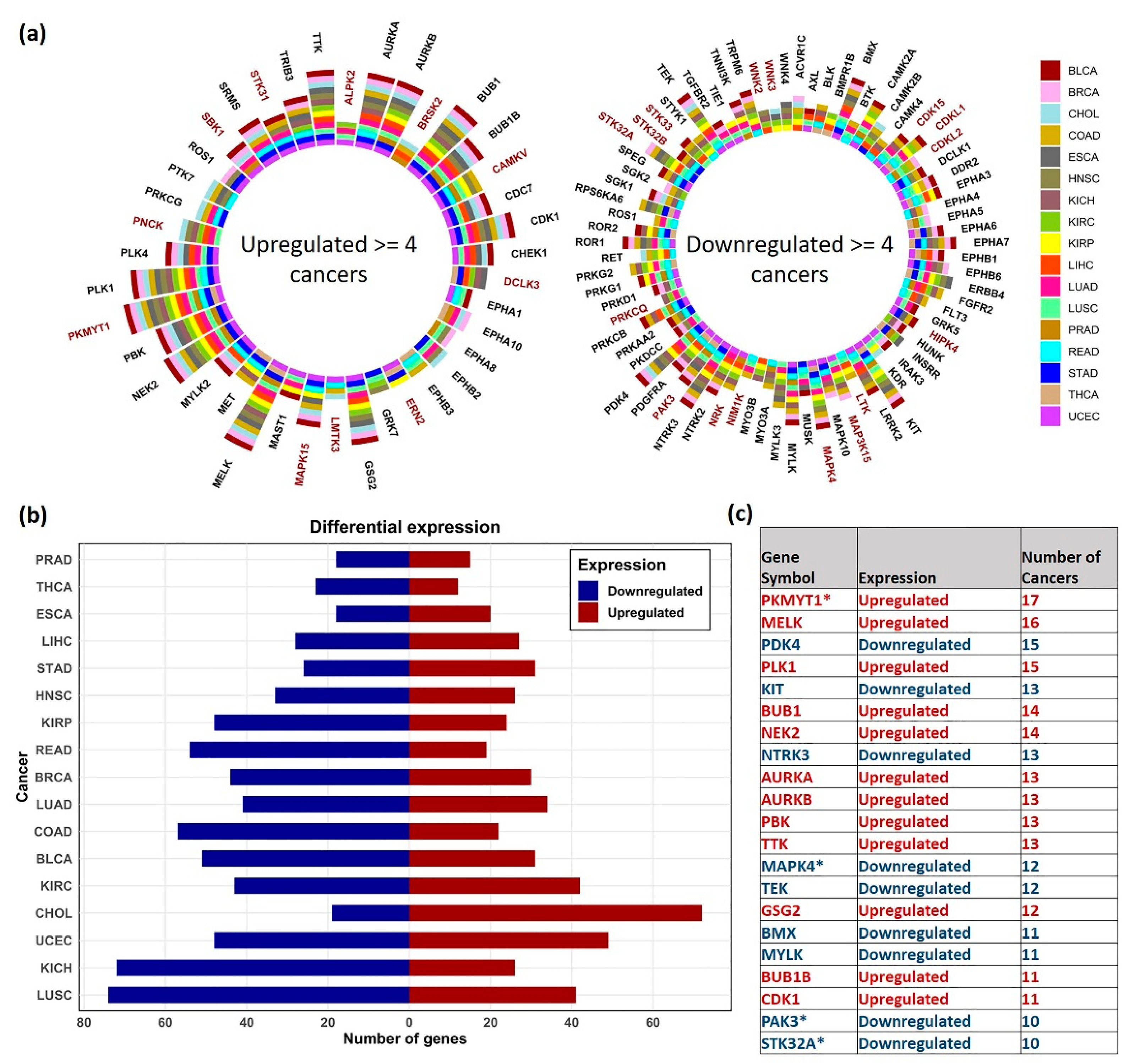 Cancers 13 01189 g002