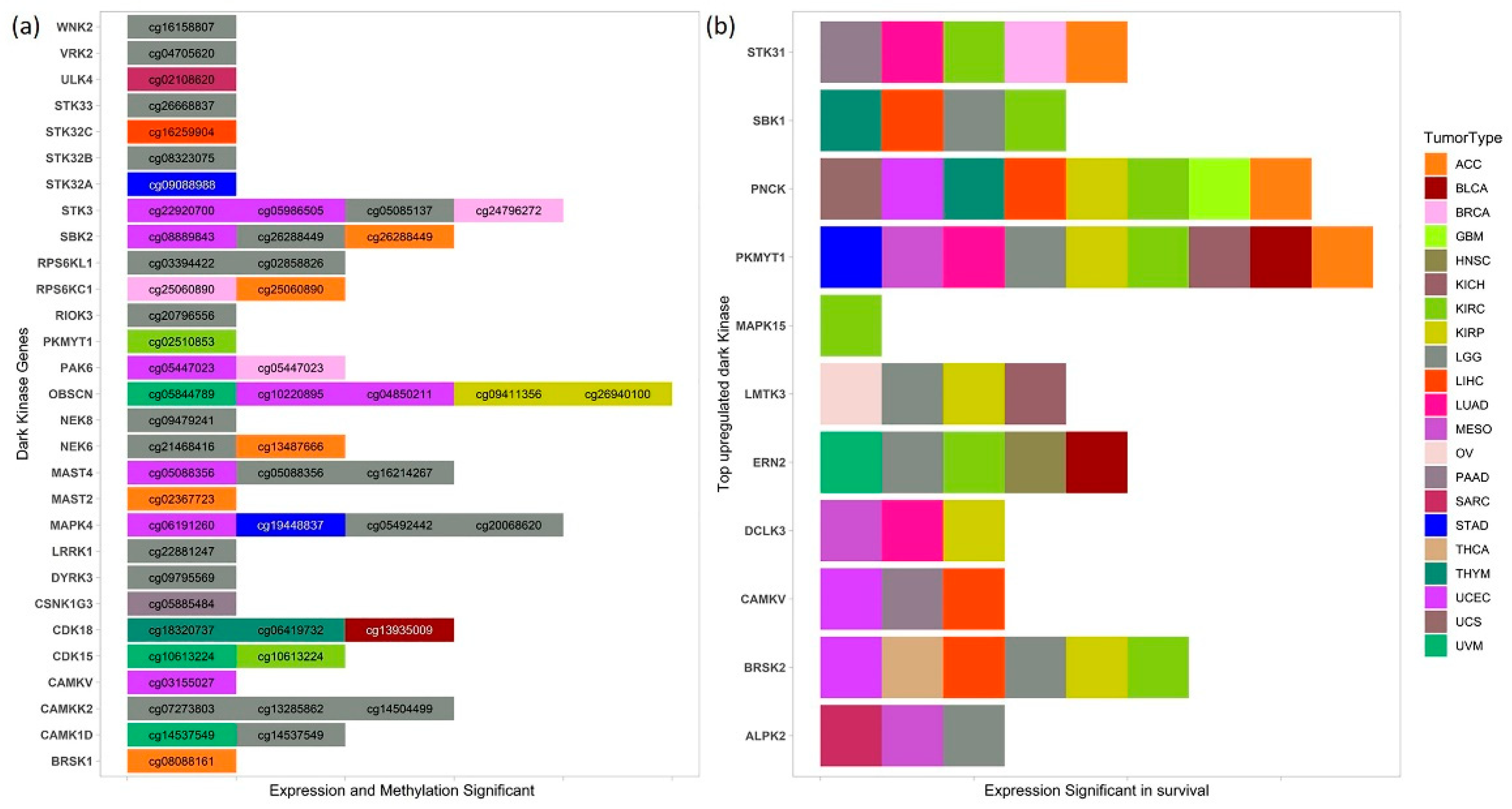 Cancers 13 01189 g005