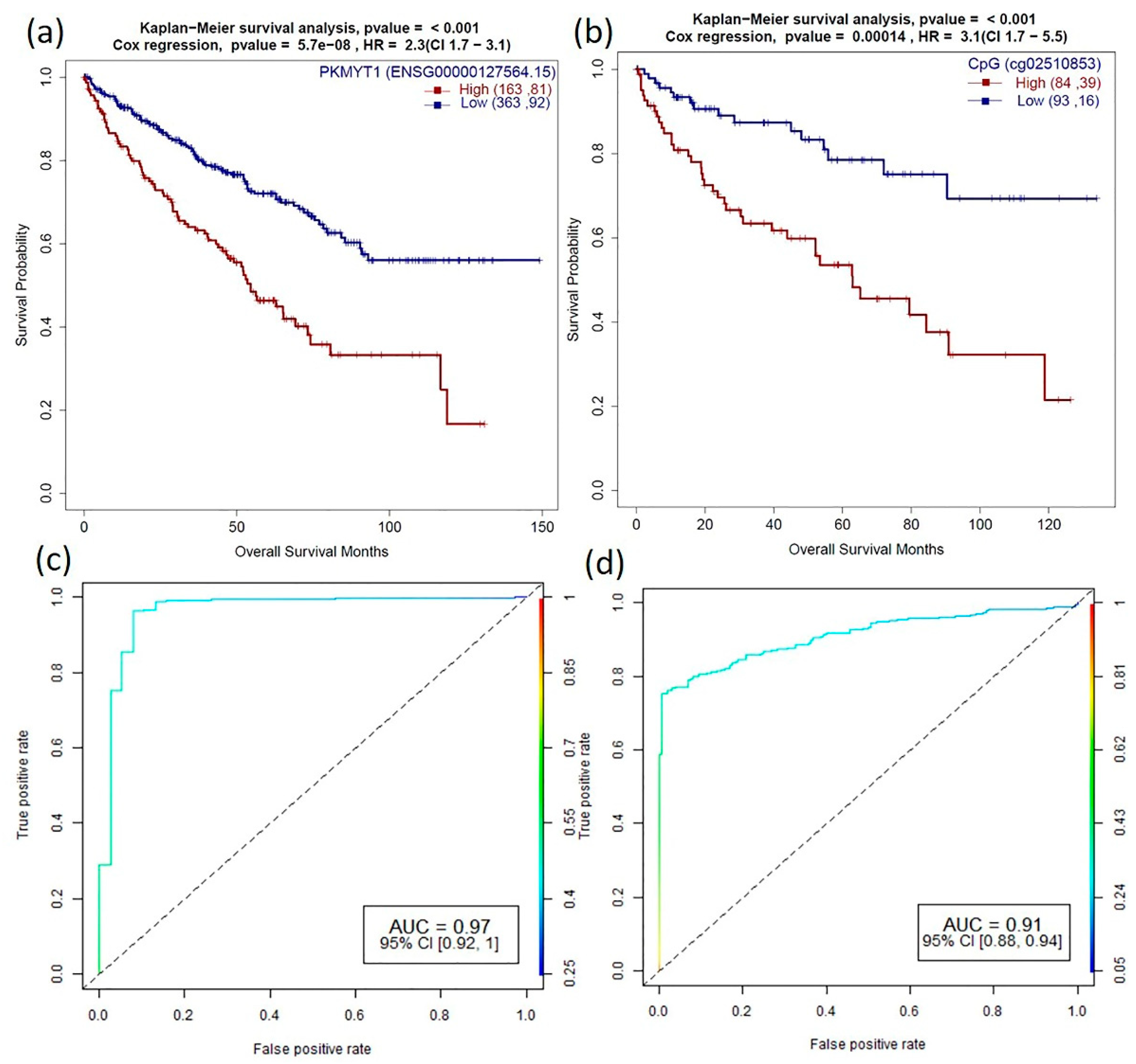 Cancers 13 01189 g006