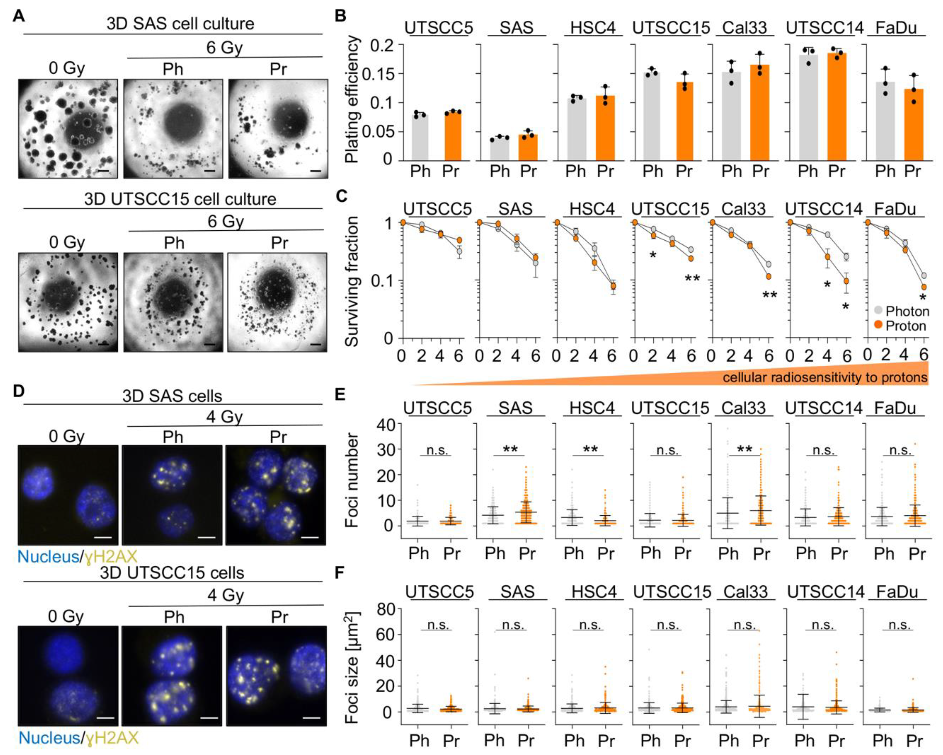 Cancers 13 01190 g001