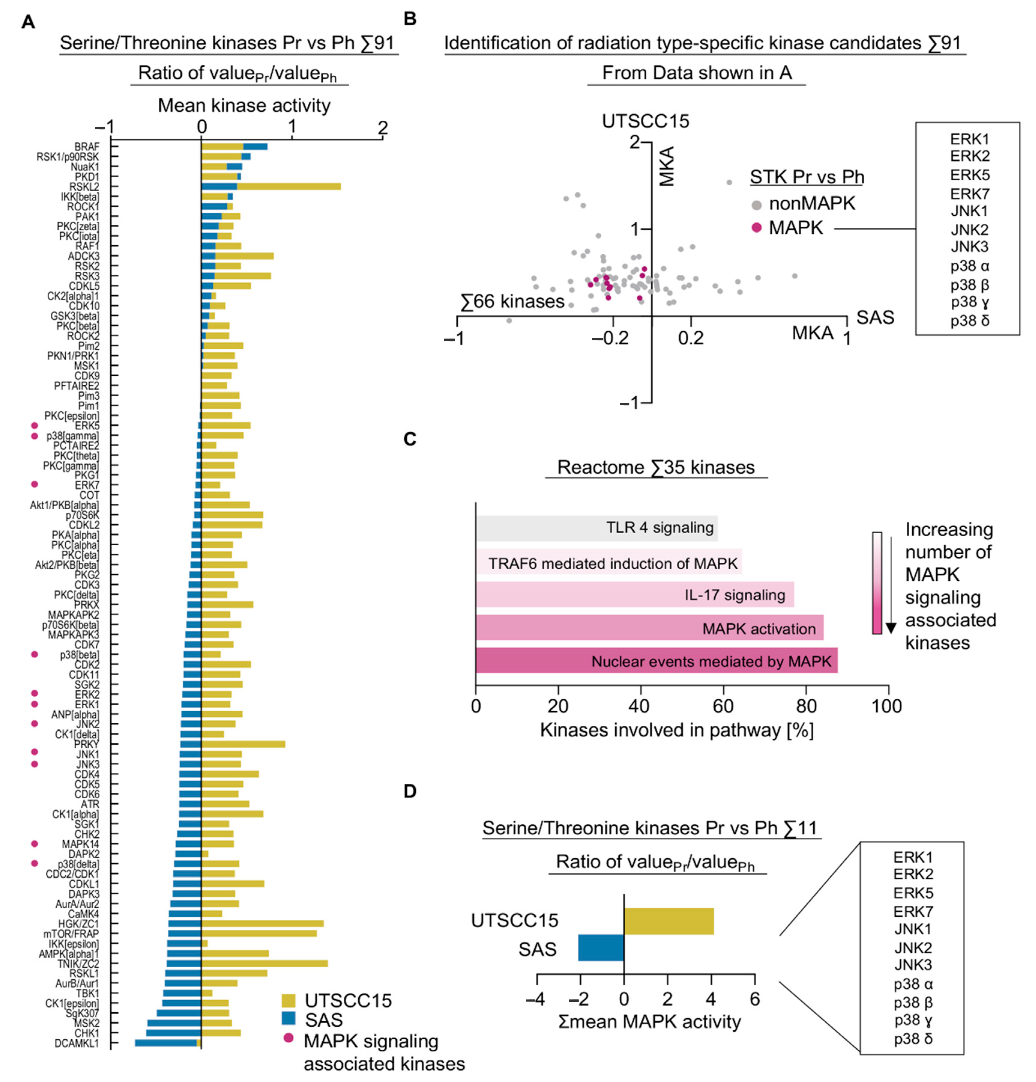 Cancers 13 01190 g003