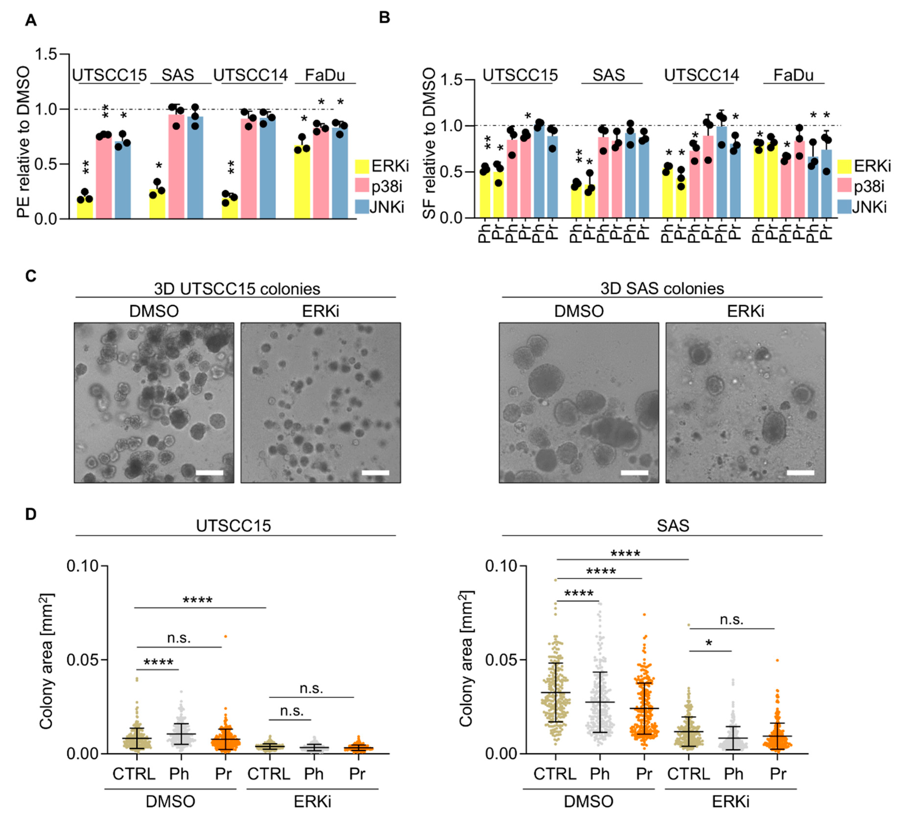 Cancers 13 01190 g004