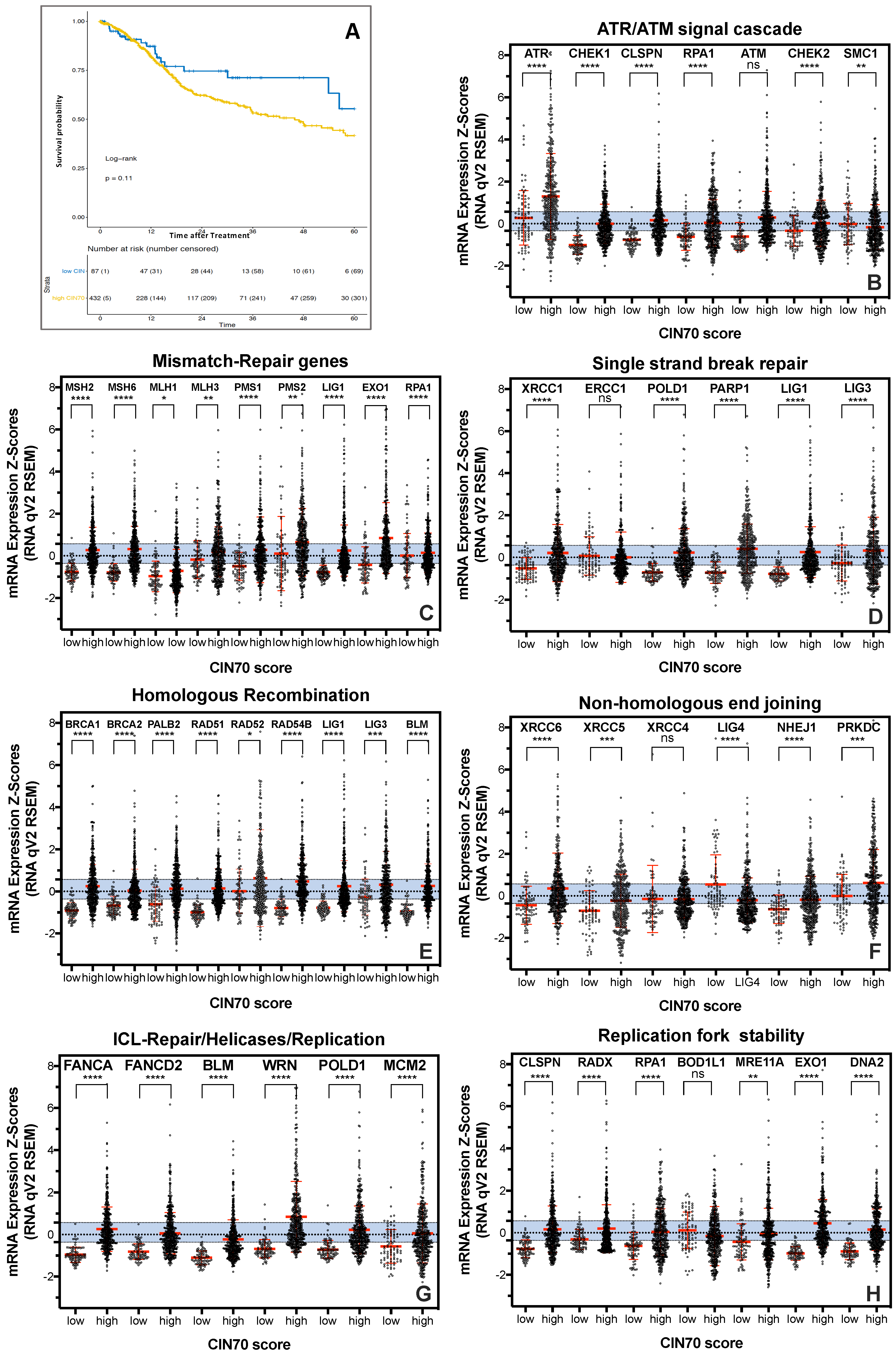 Cancers 13 01194 g001