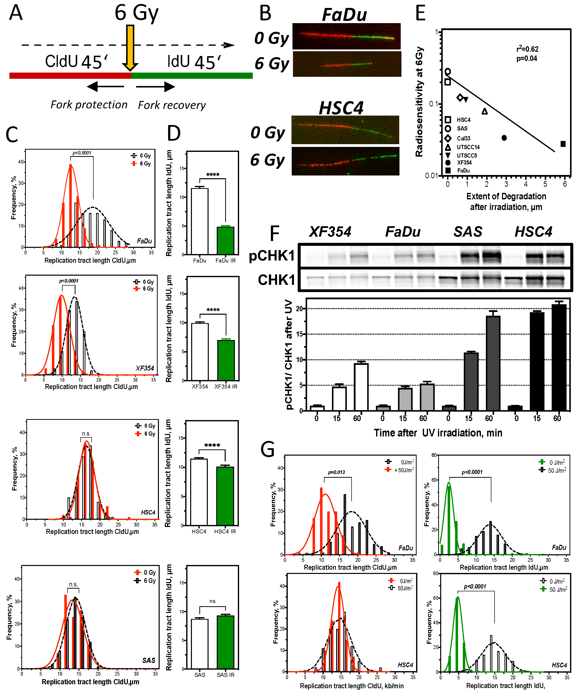 Cancers 13 01194 g004