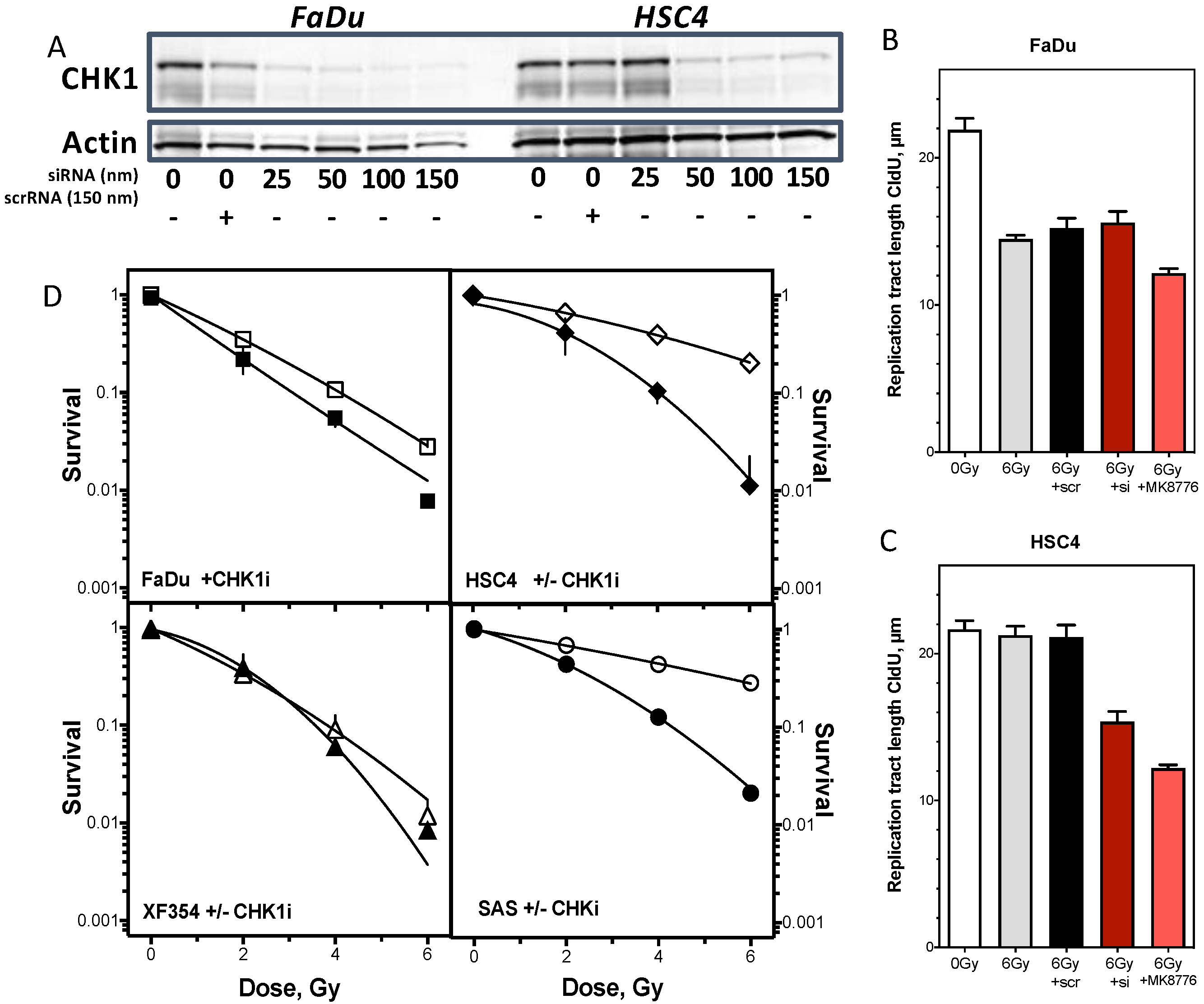 Cancers 13 01194 g005