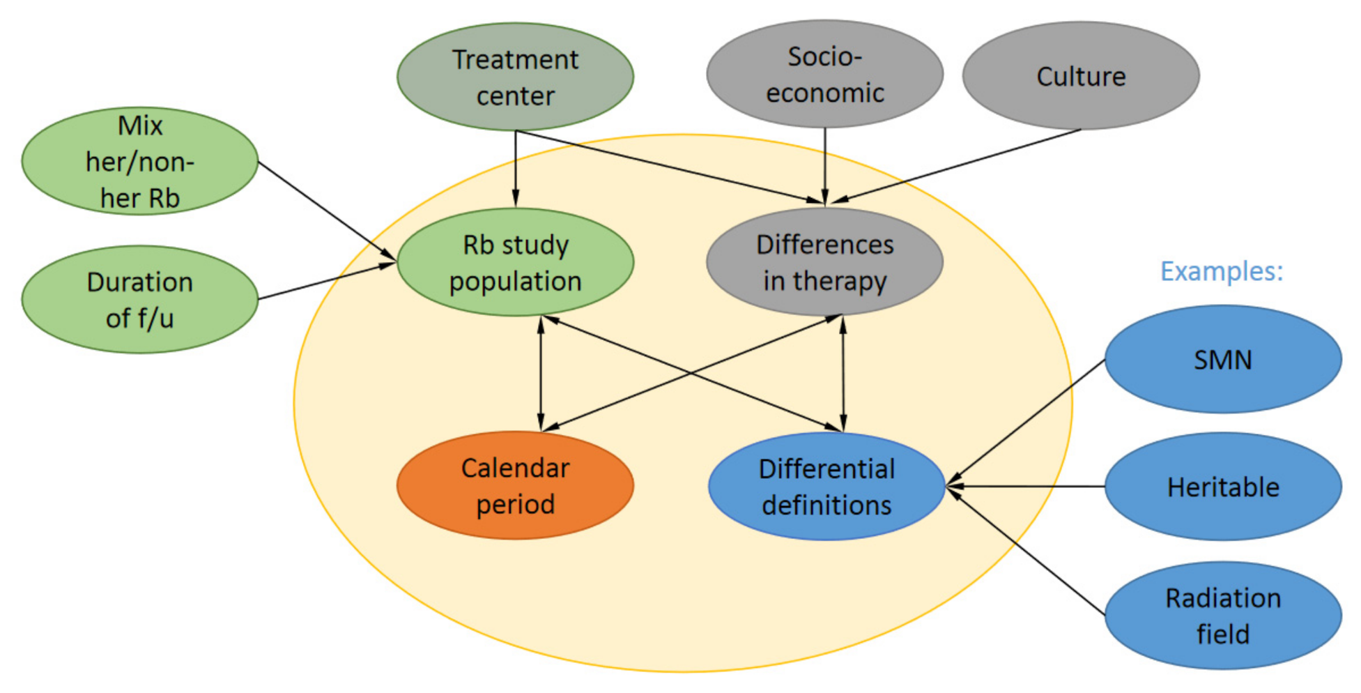 Cancers 13 01200 g002