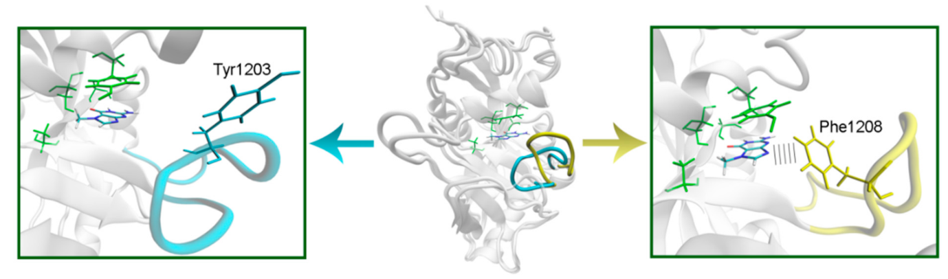 Cancers 13 01201 g005