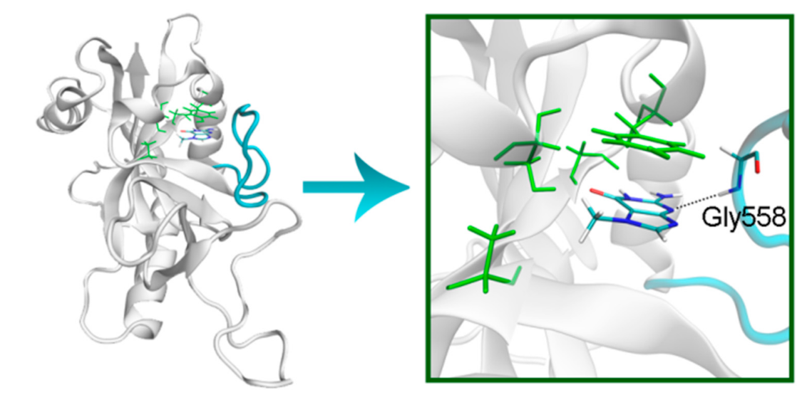 Cancers 13 01201 g009