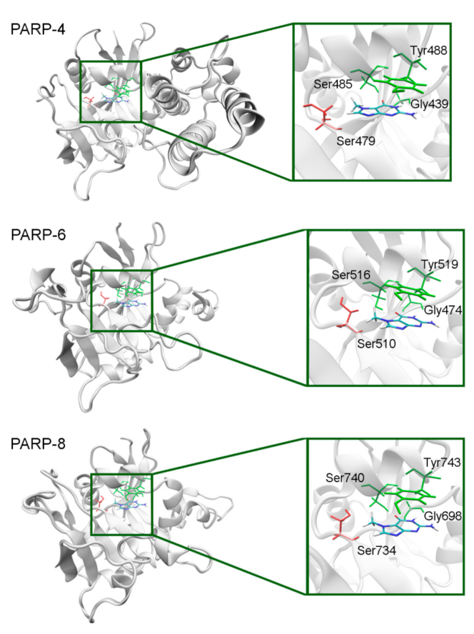 Cancers 13 01201 g011