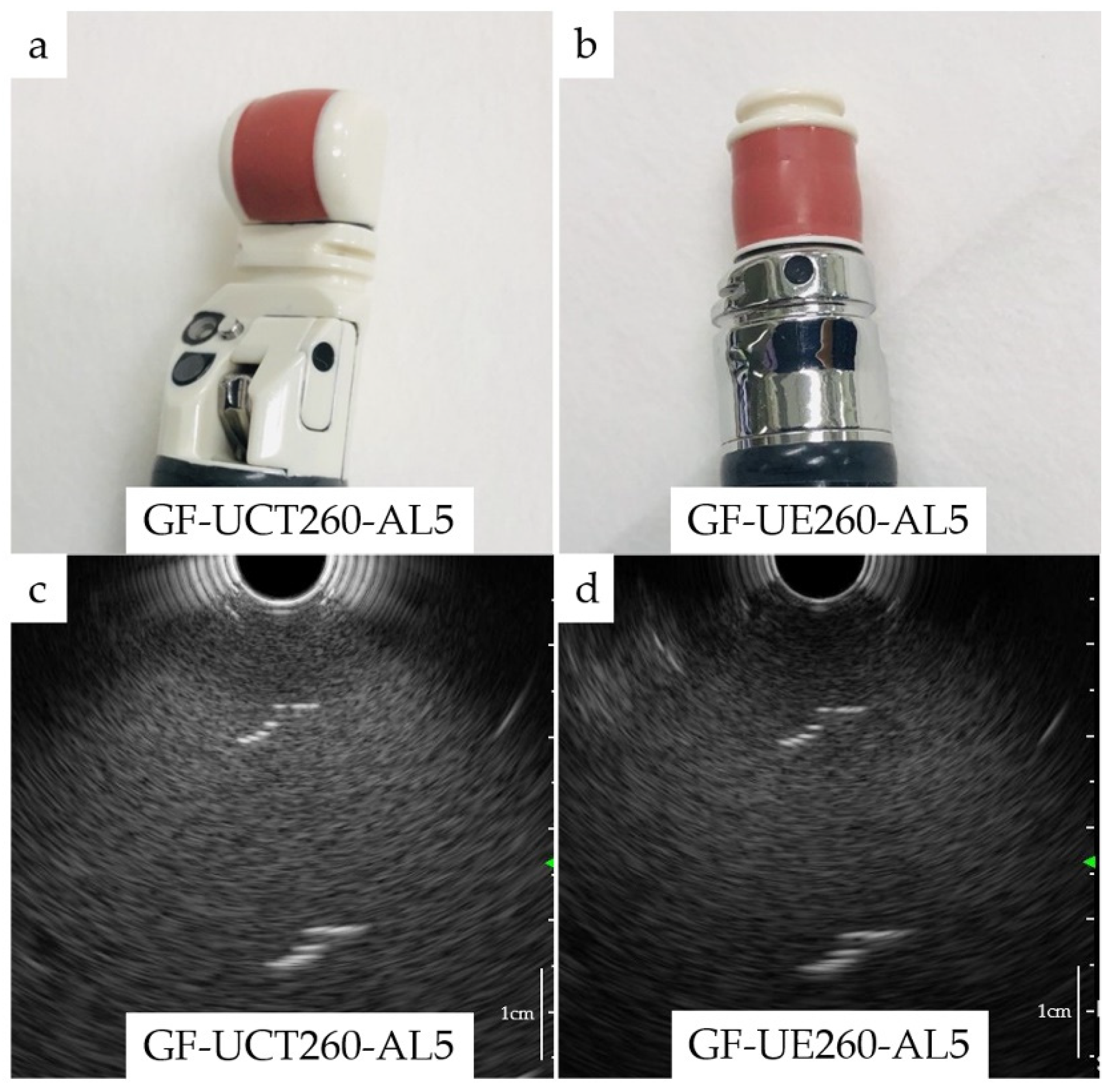 Cancers 13 01217 g002