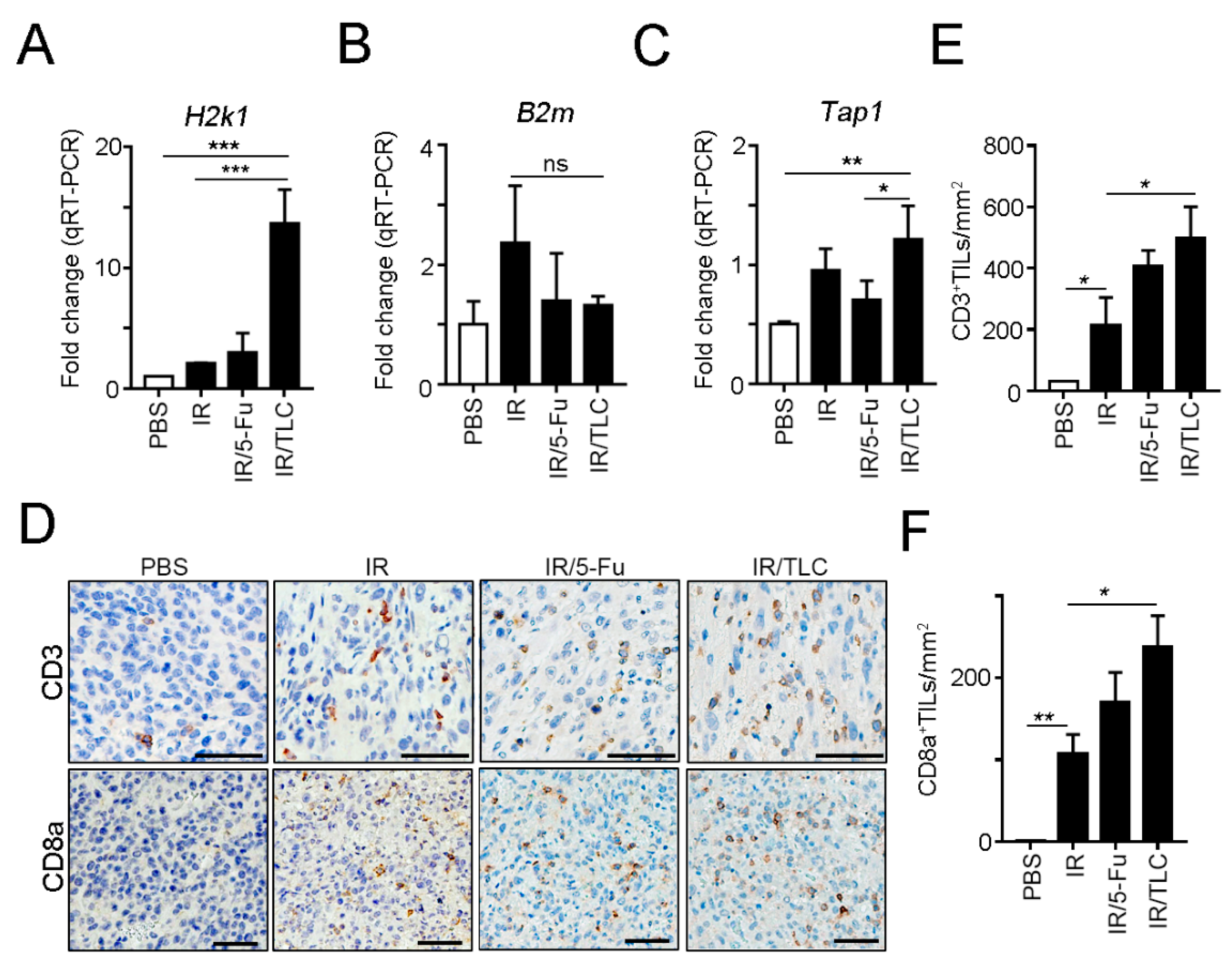 Cancers 13 01218 g005