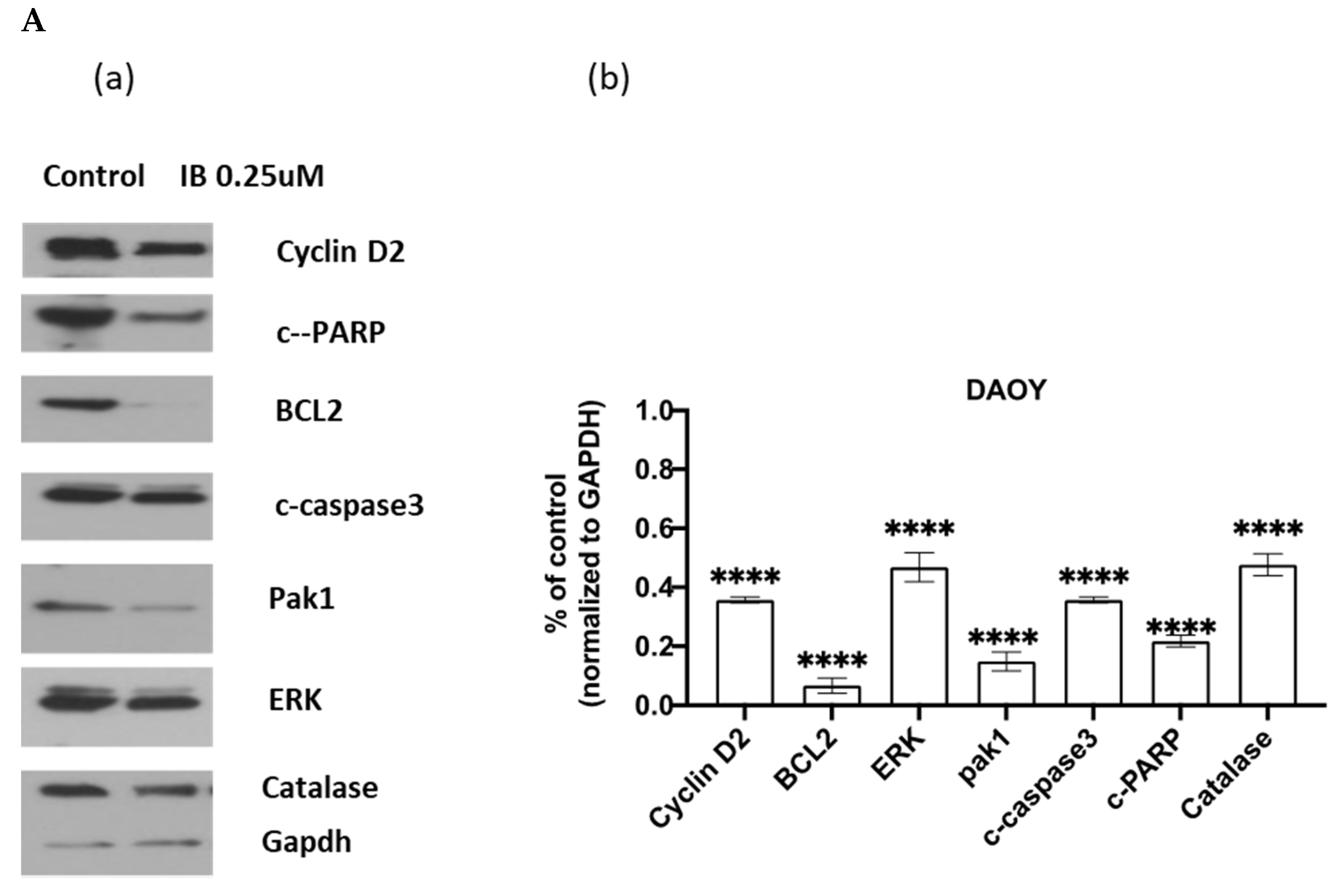 Cancers 13 01220 g002a