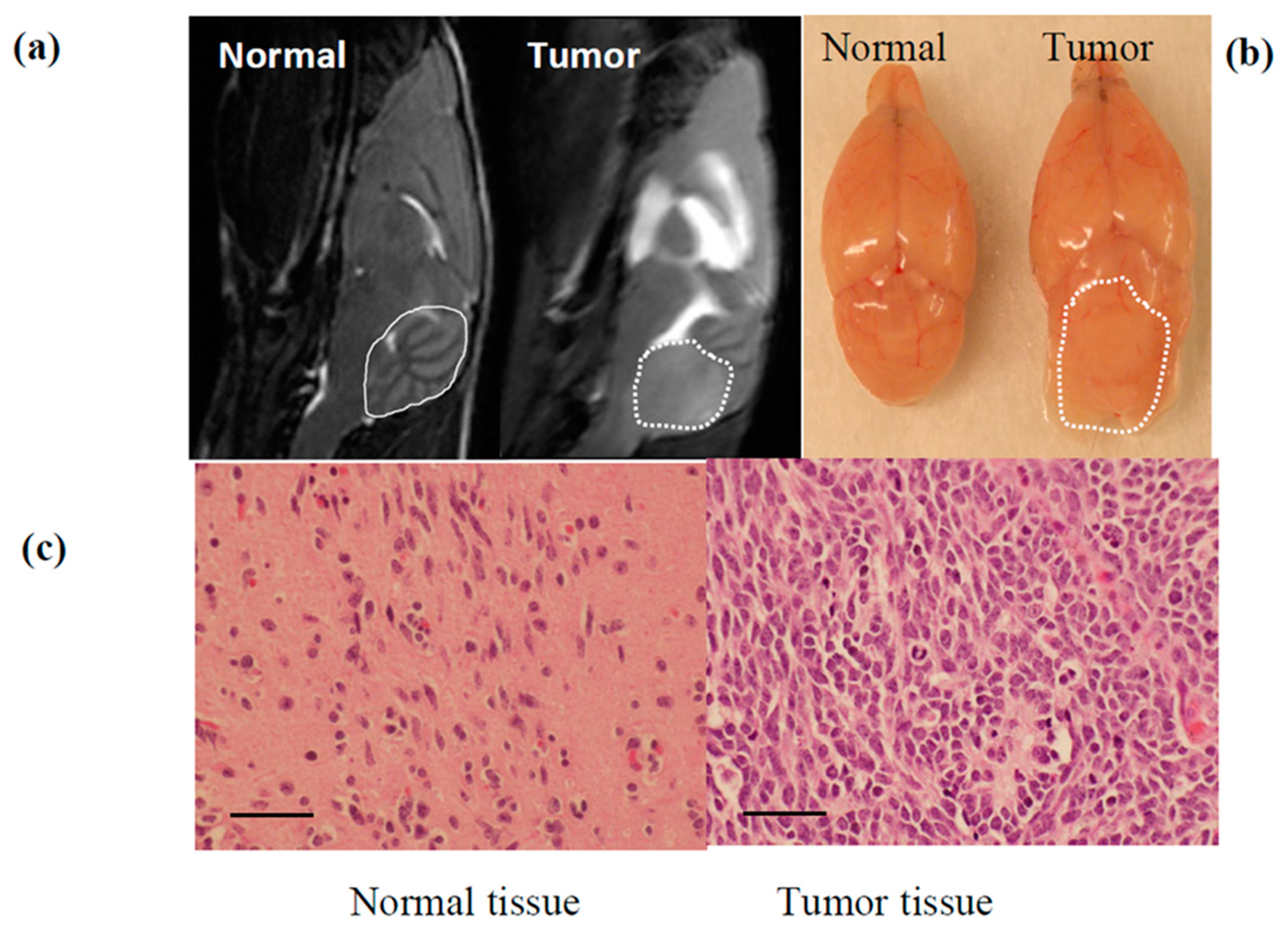 Cancers 13 01220 g003
