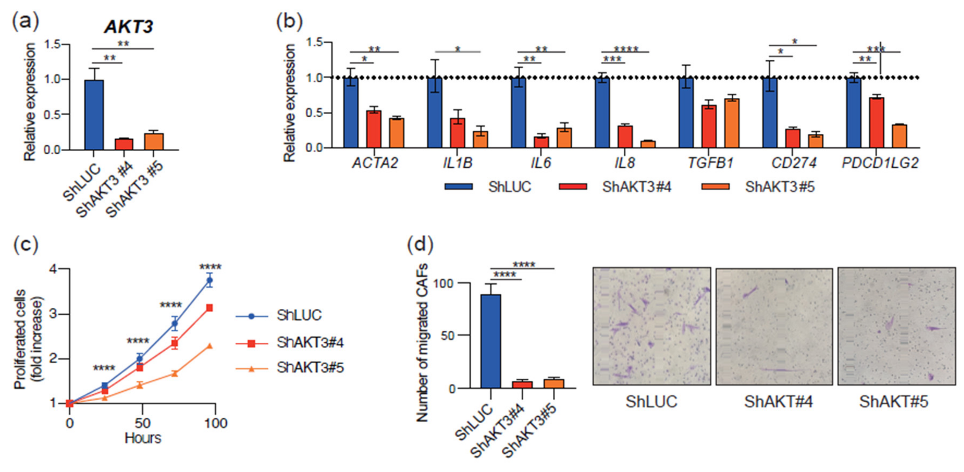 Cancers 13 01233 g003 Cancers 13 01233 g003