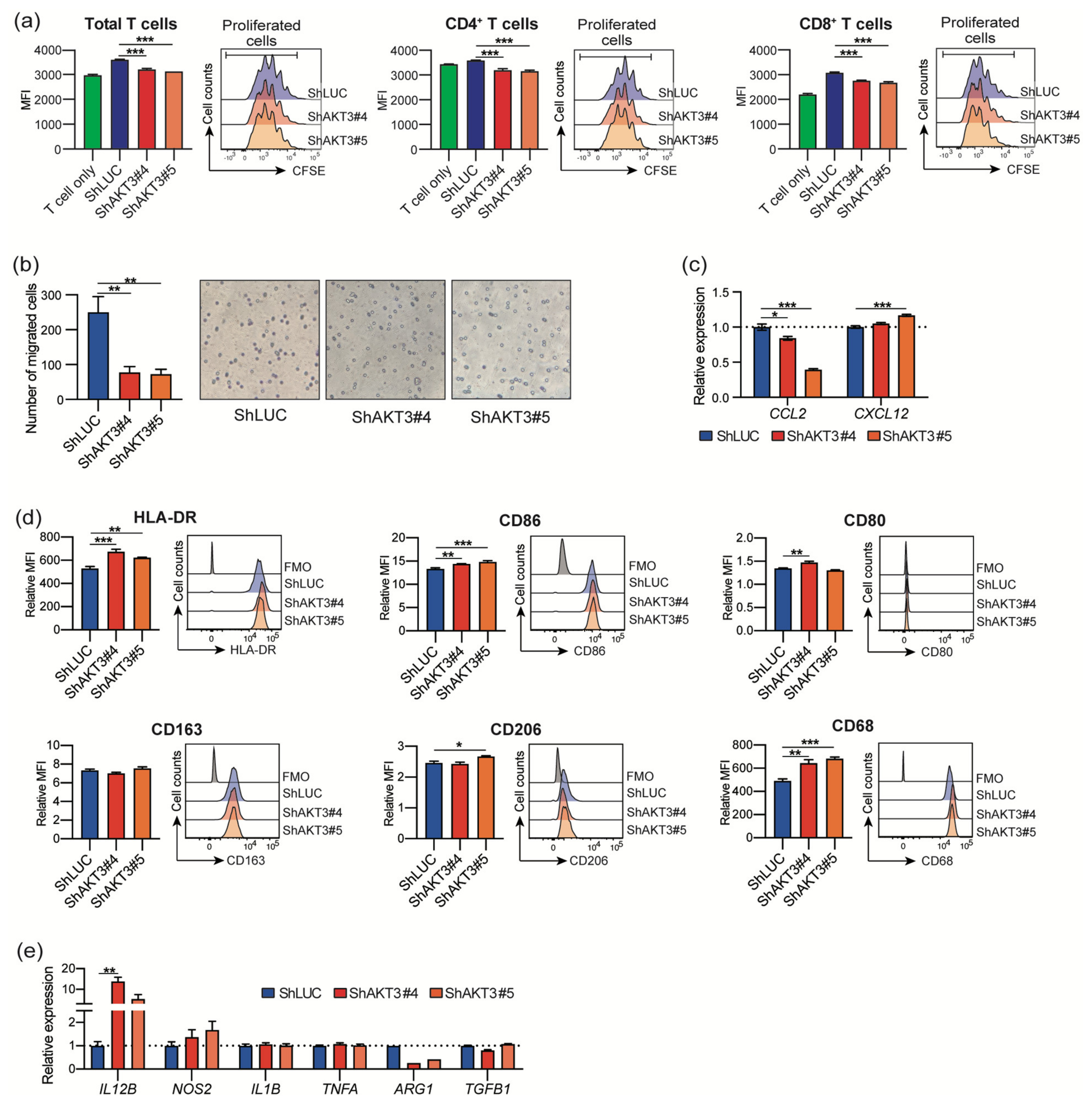 Cancers 13 01233 g004 Cancers 13 01233 g004