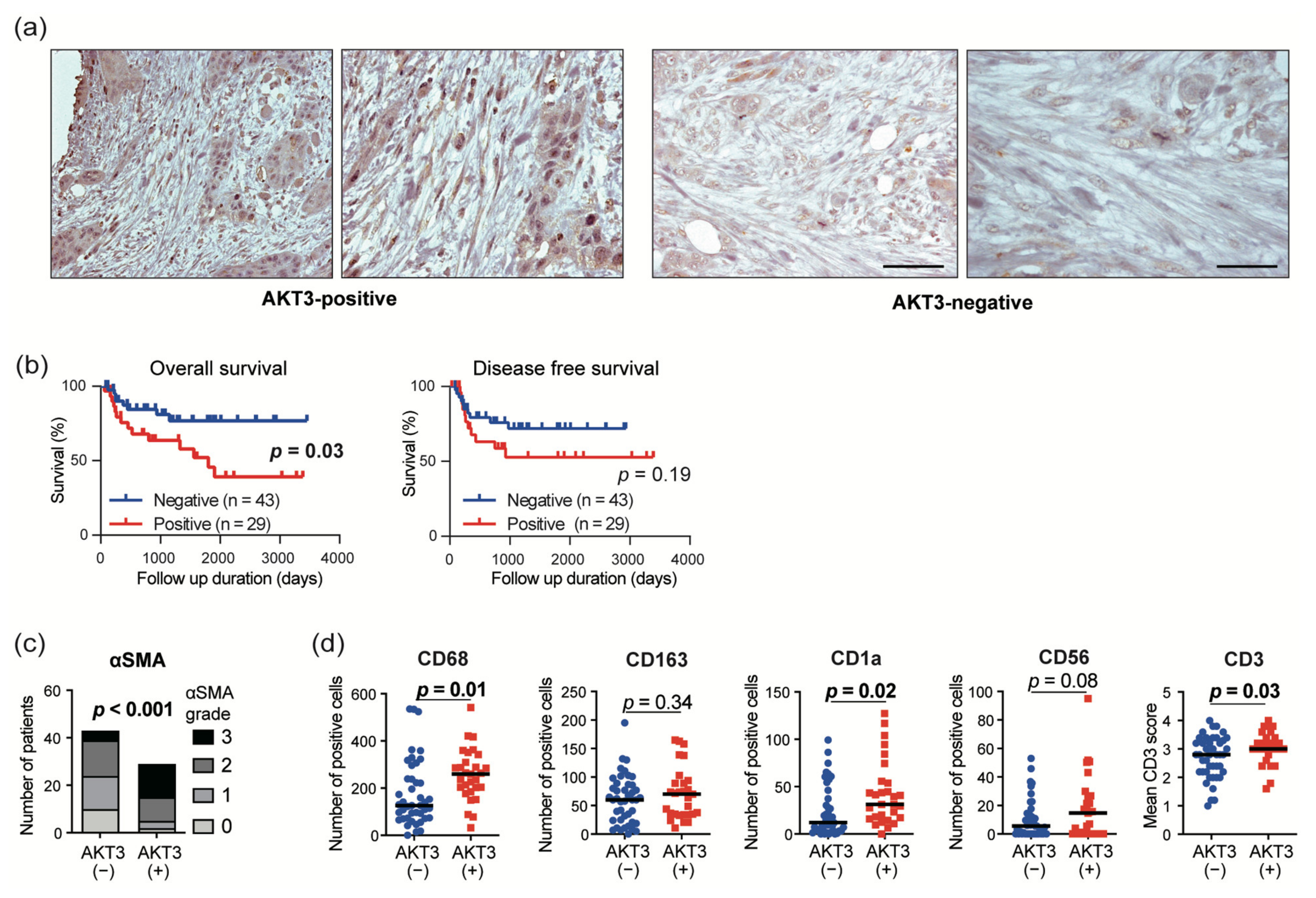 Cancers 13 01233 g005 Cancers 13 01233 g005