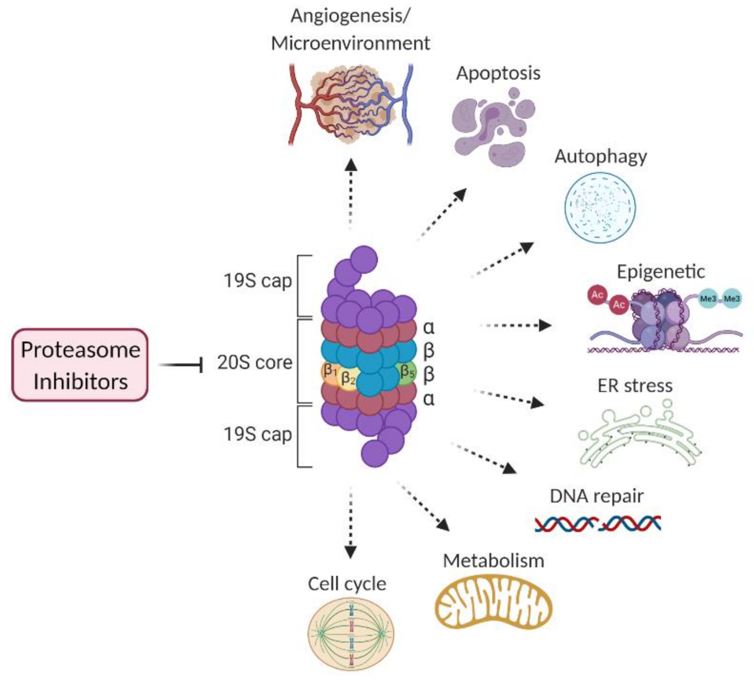 Cancers 13 01235 g001