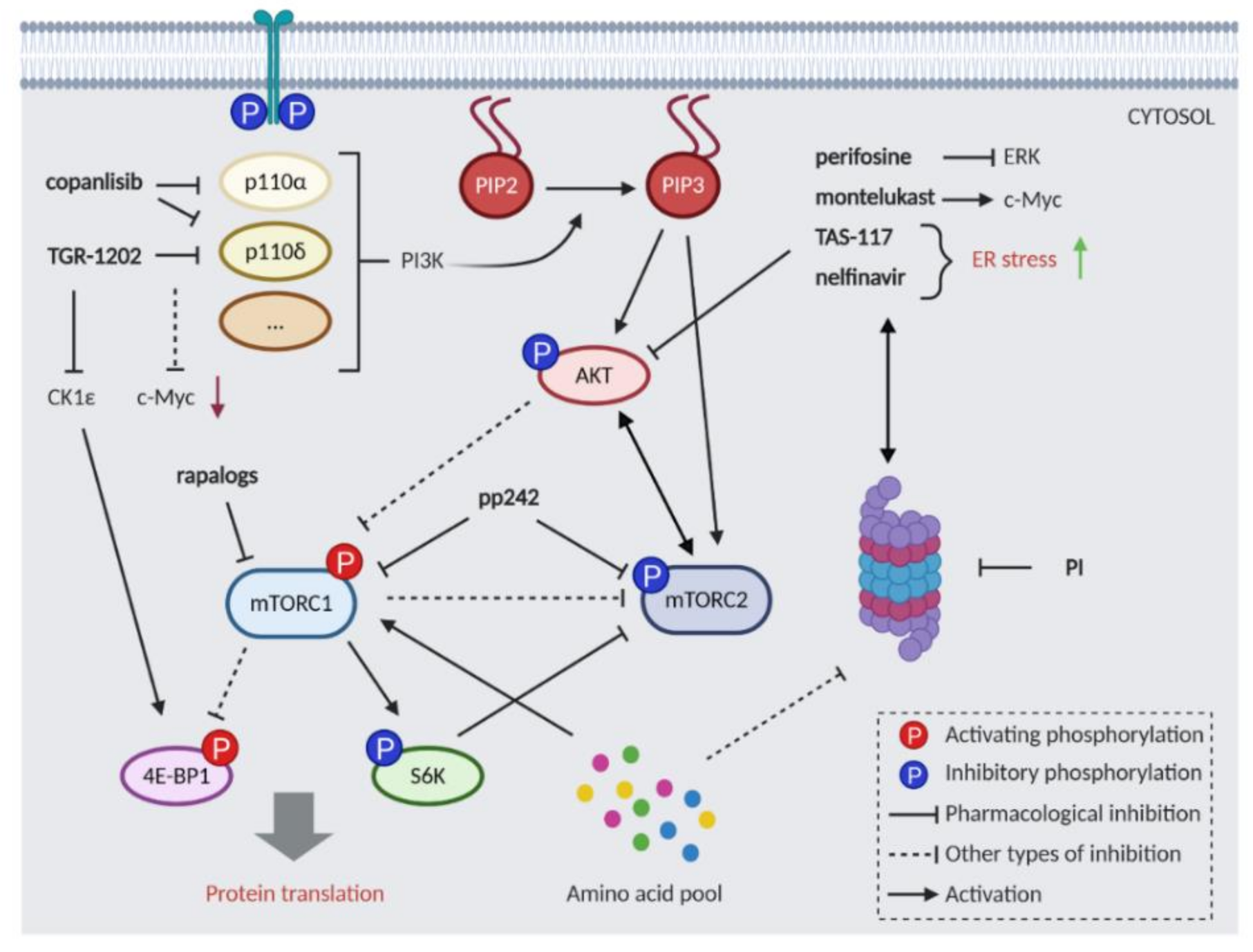 Cancers 13 01235 g002