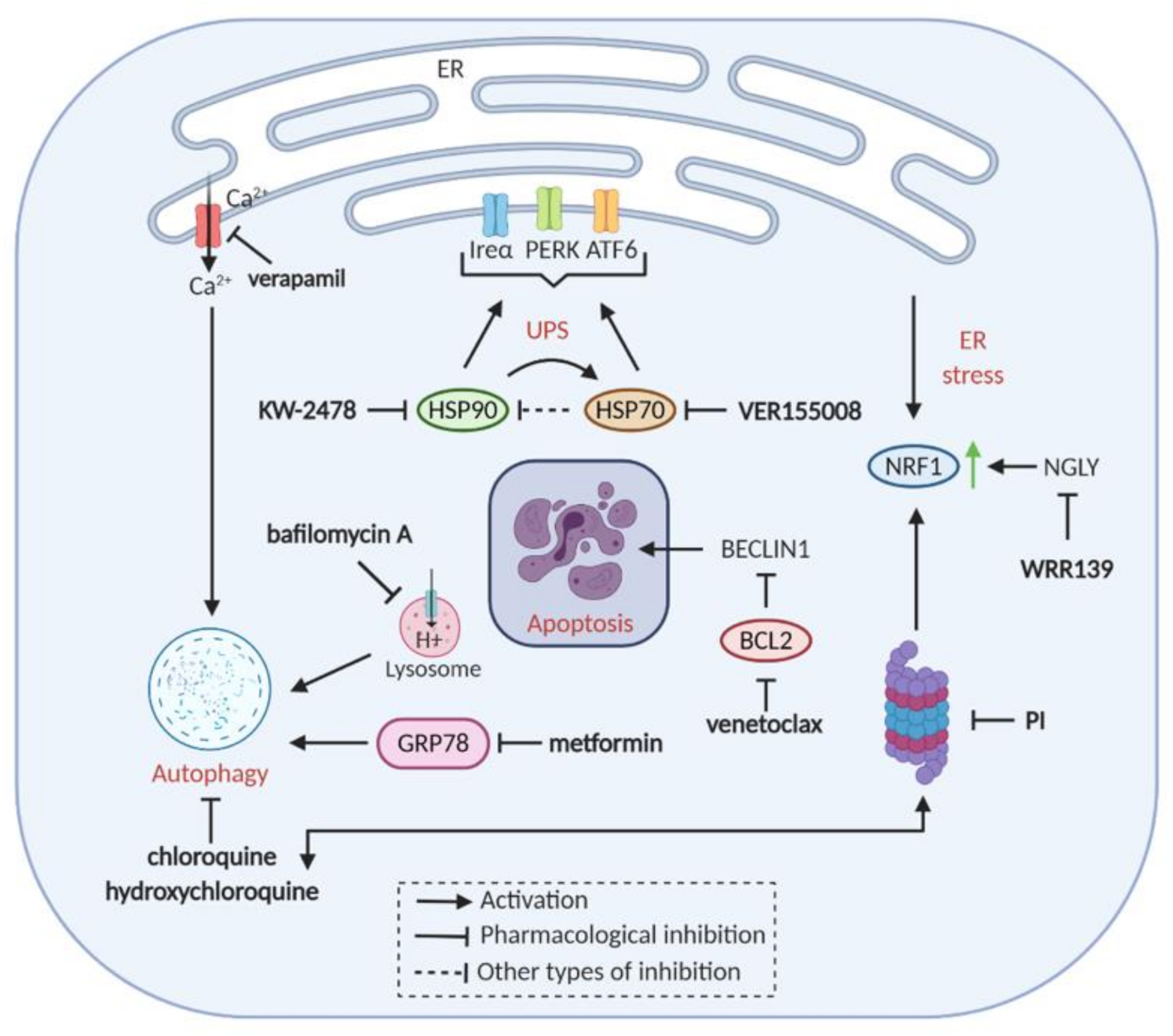 Cancers 13 01235 g003
