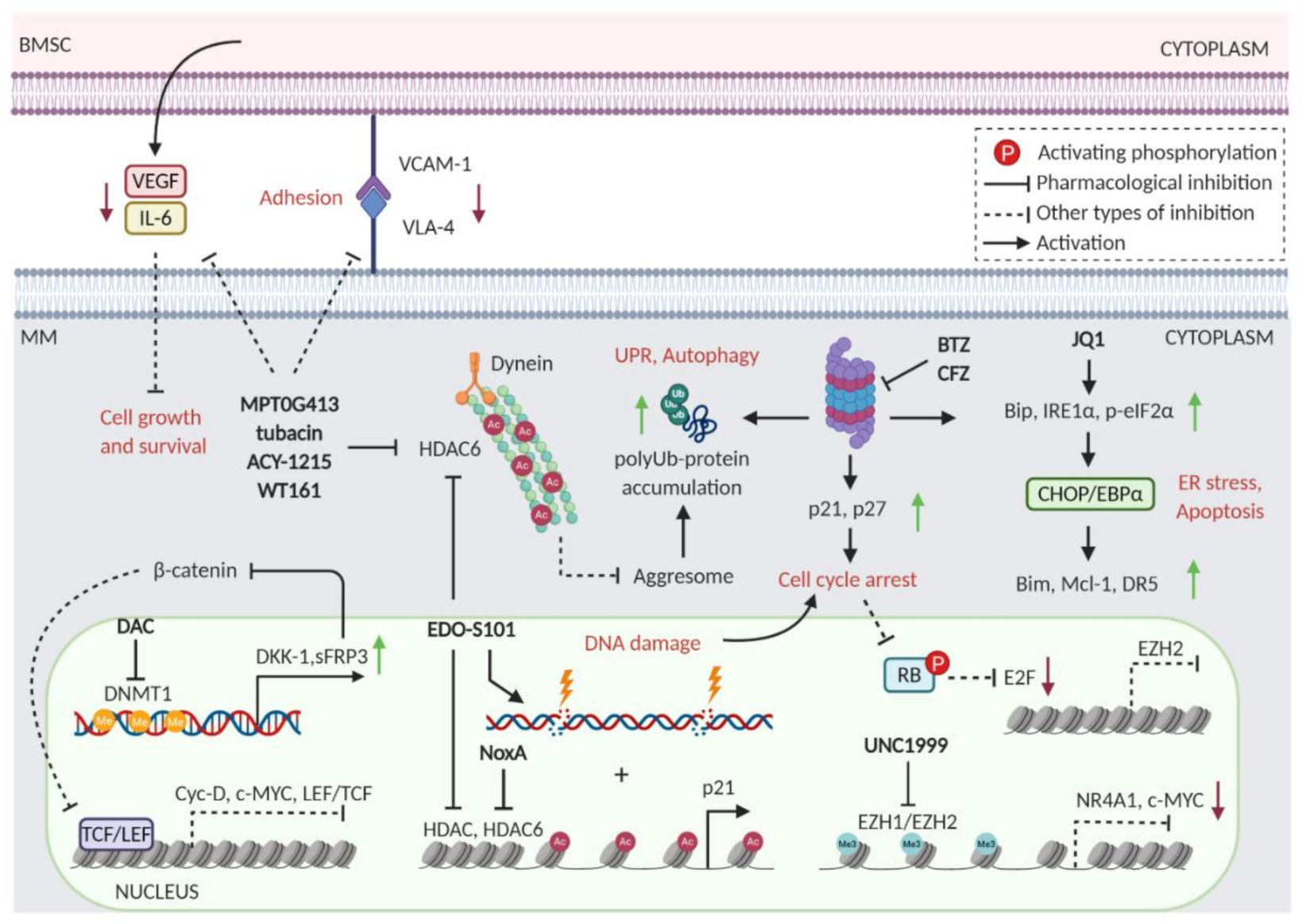 Cancers 13 01235 g005