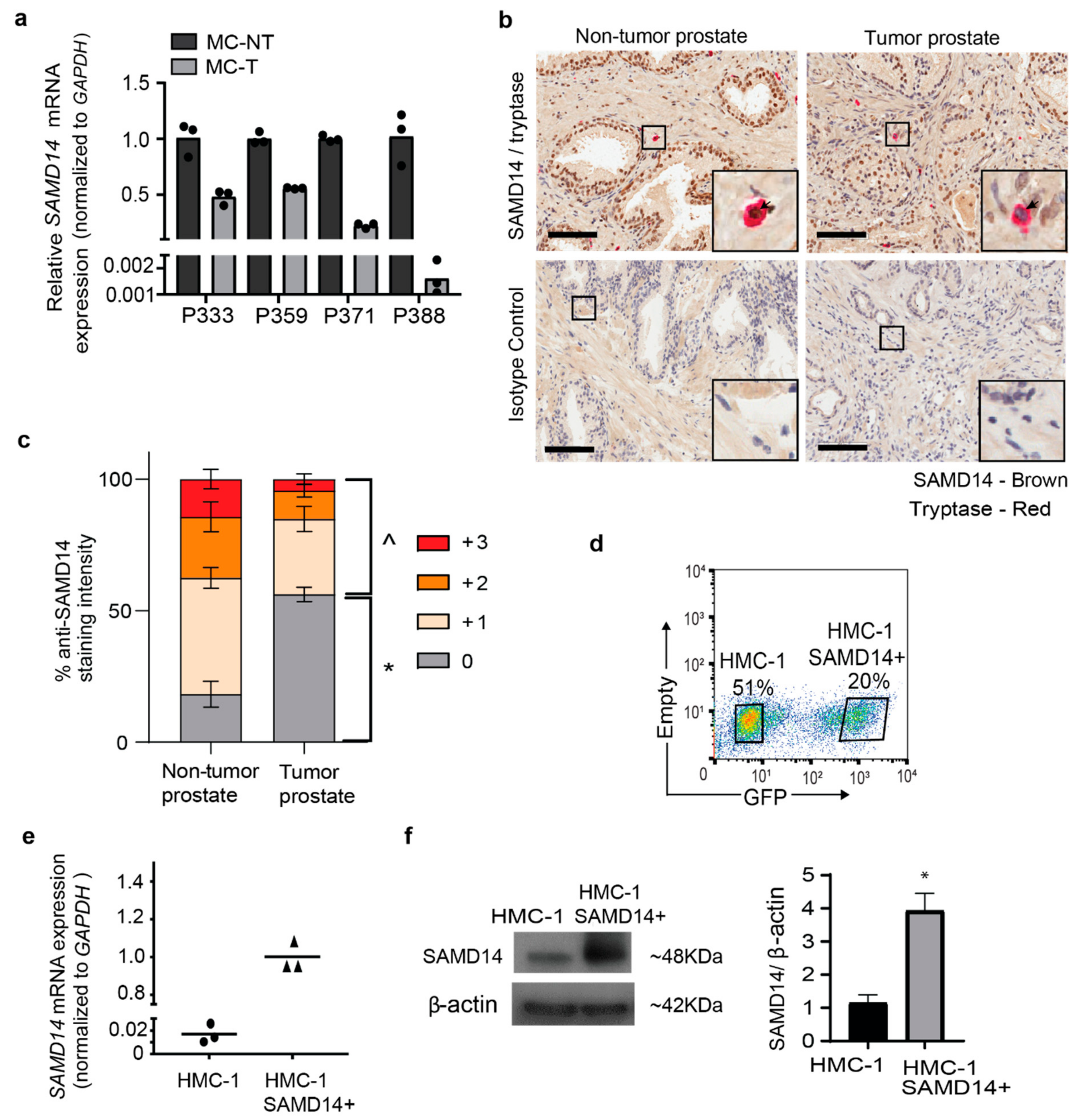 Cancers 13 01237 g002