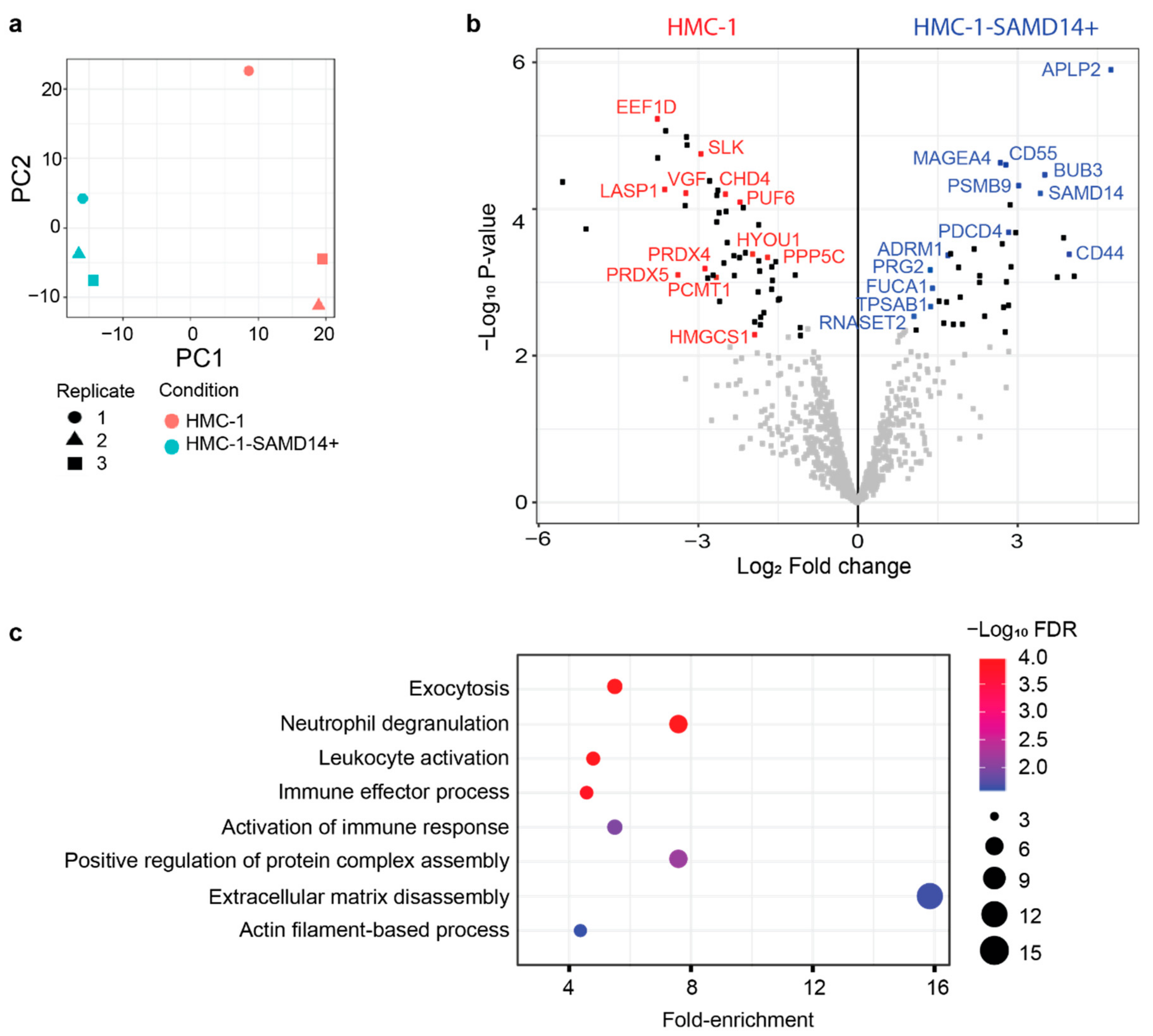 Cancers 13 01237 g003
