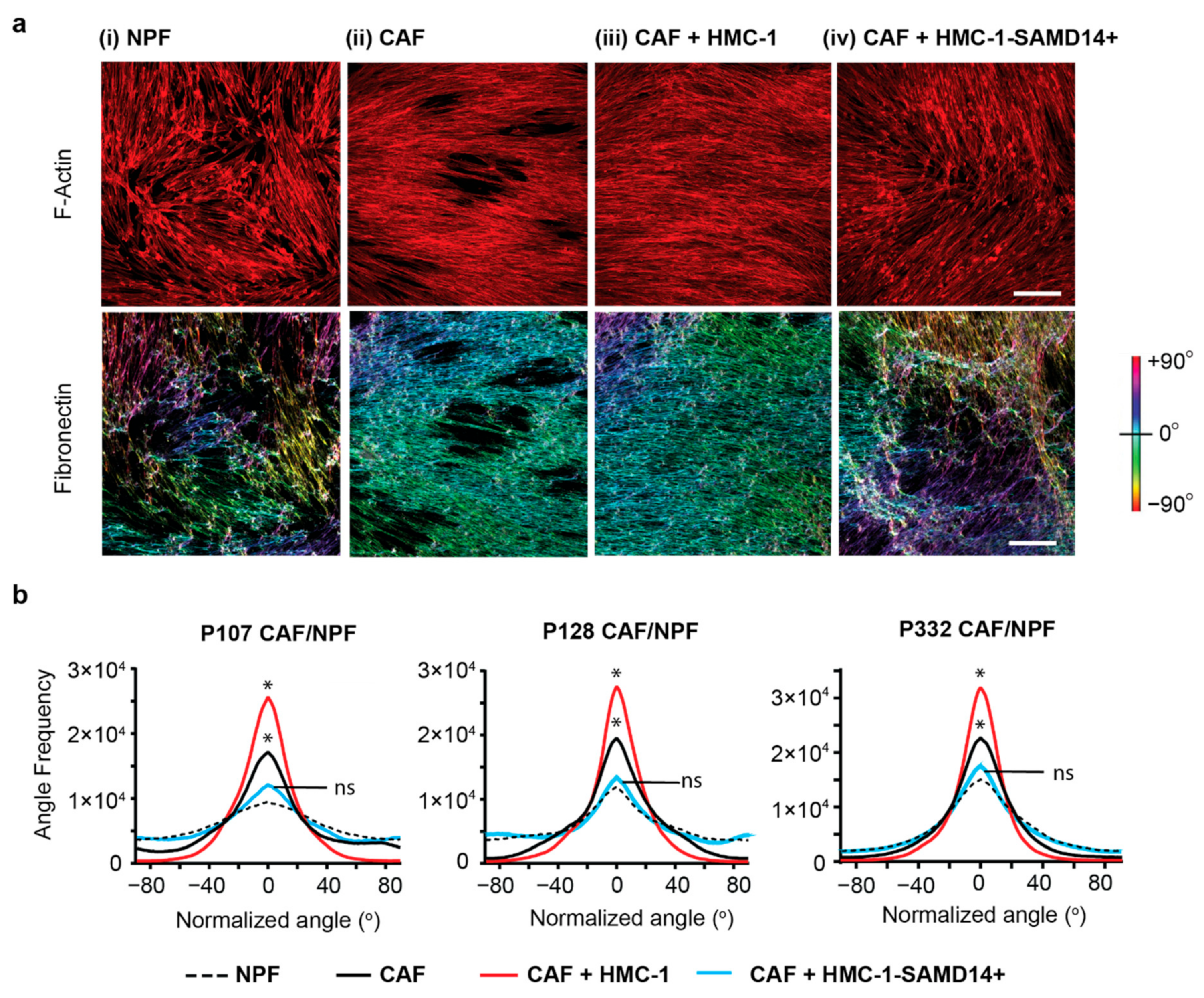 Cancers 13 01237 g004