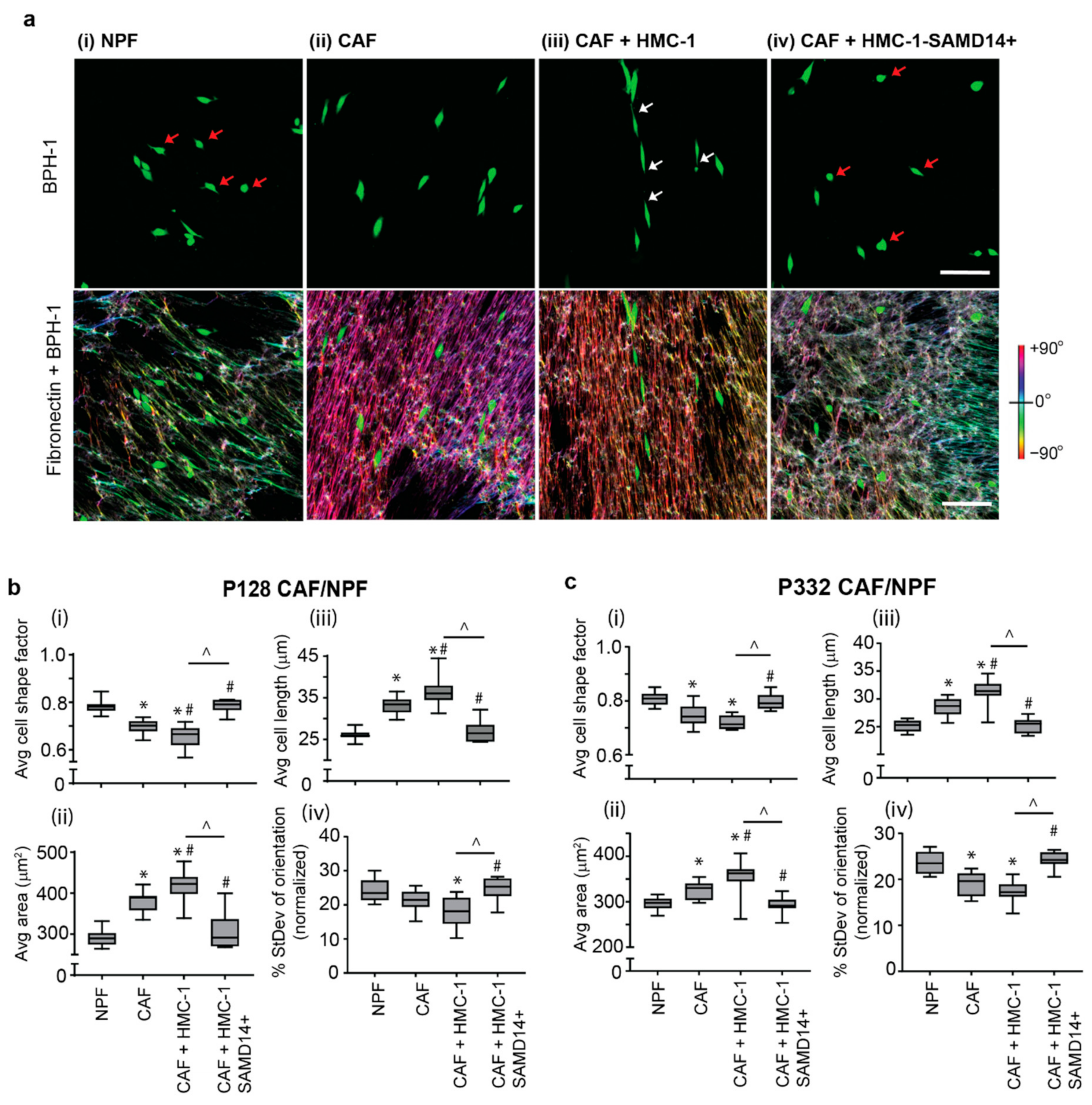 Cancers 13 01237 g005