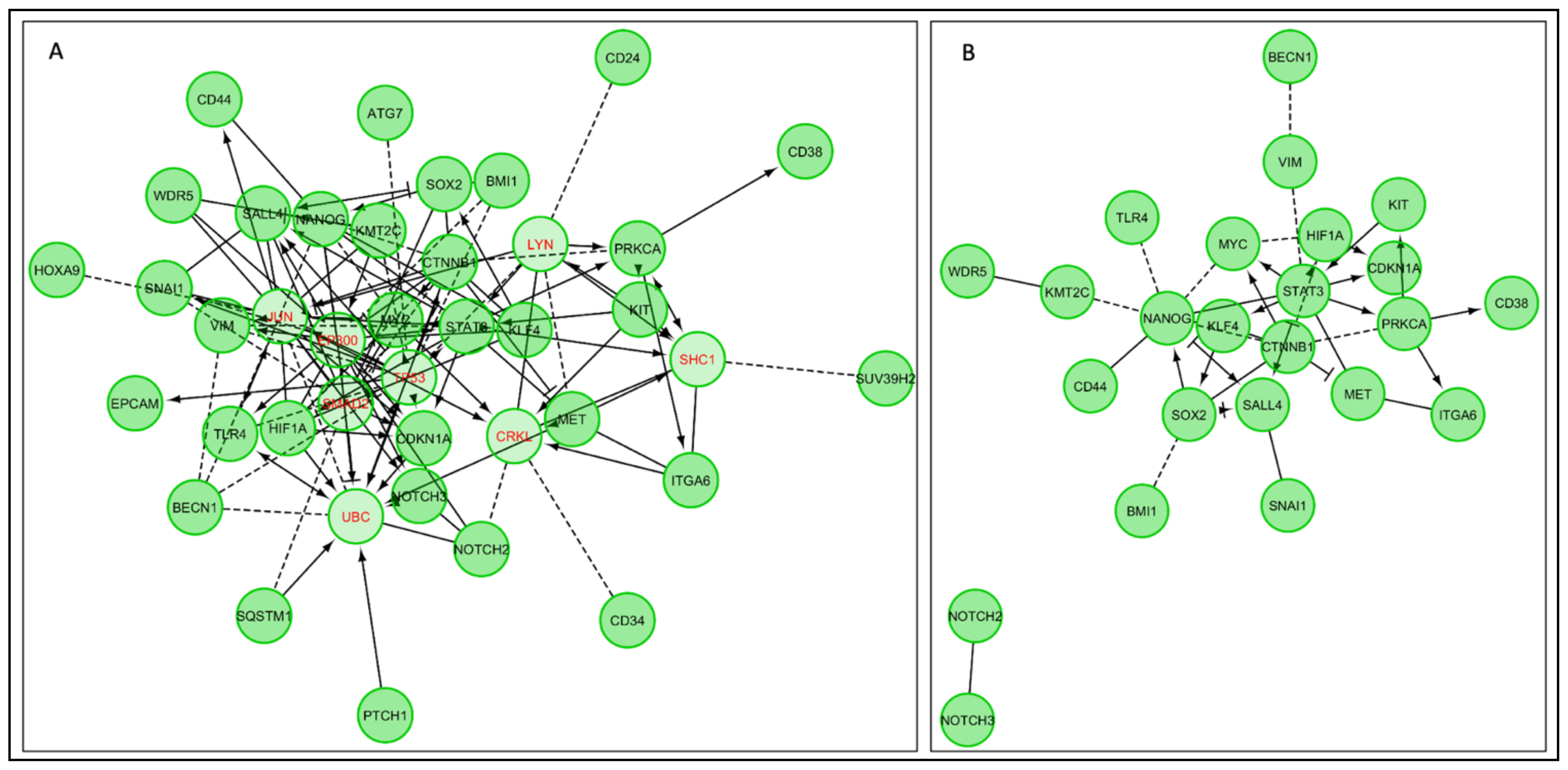 Cancers 13 01239 g004