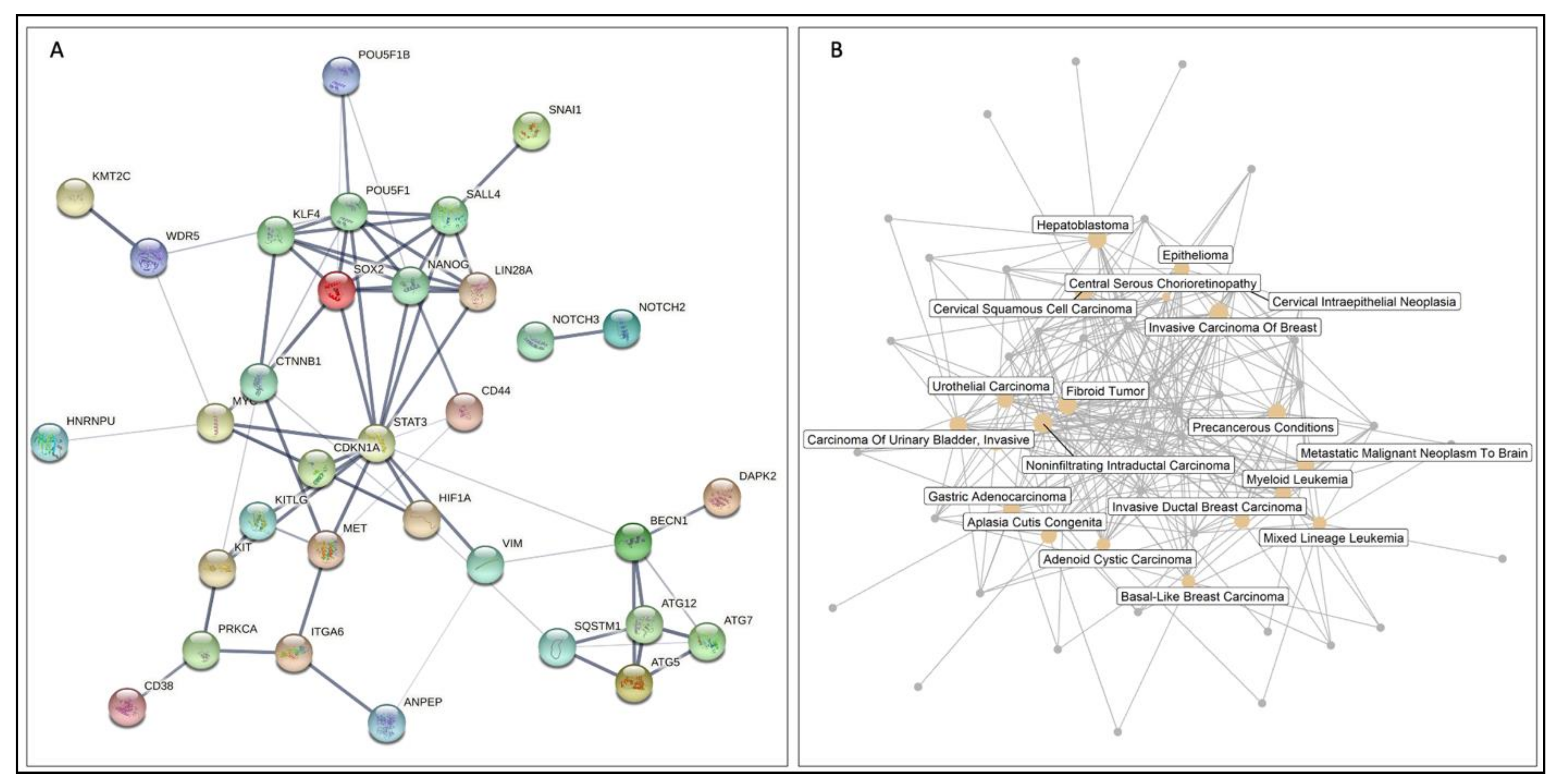 Cancers 13 01239 g005