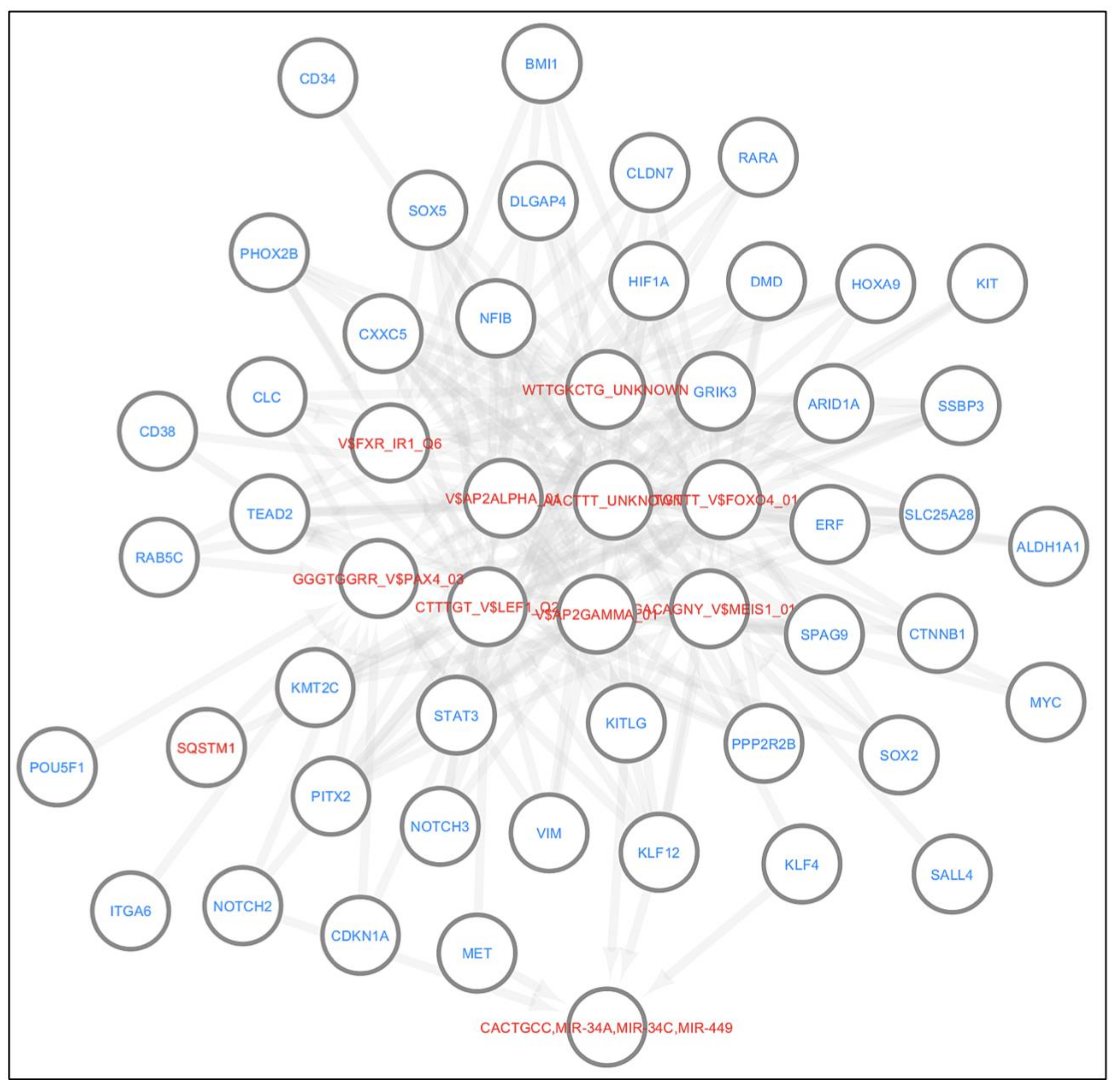 Cancers 13 01239 g006