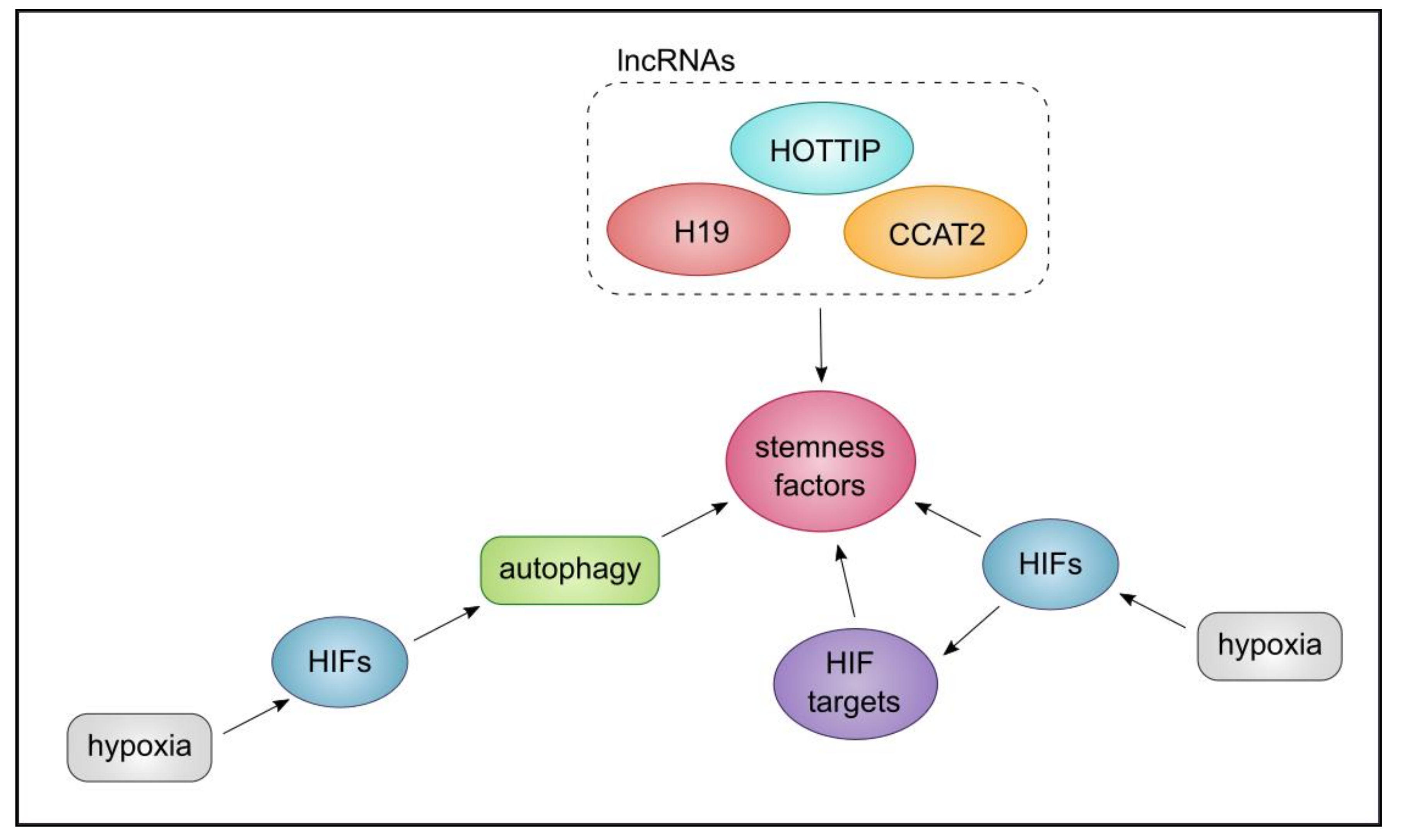 Cancers 13 01239 g007