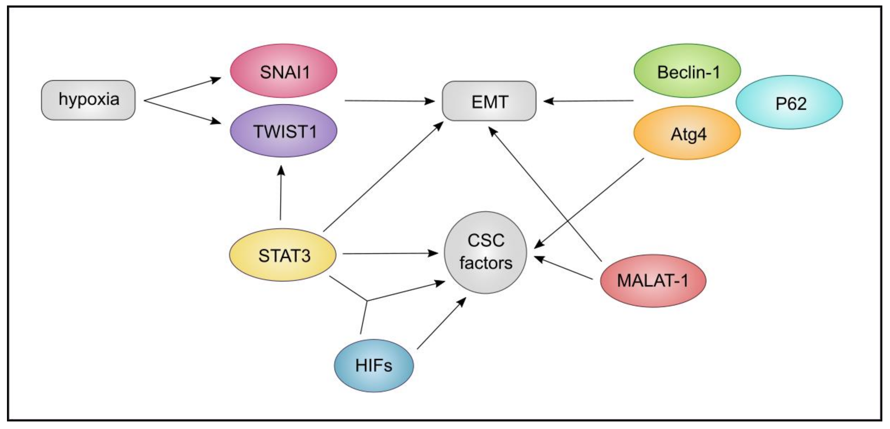Cancers 13 01239 g008
