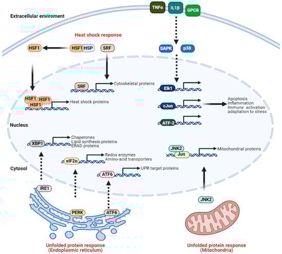 Cancers 13 01243 g002