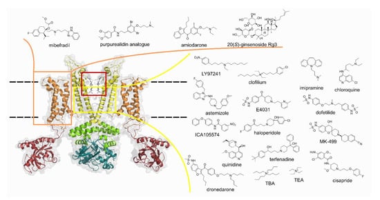 Cancers 13 01244 g001