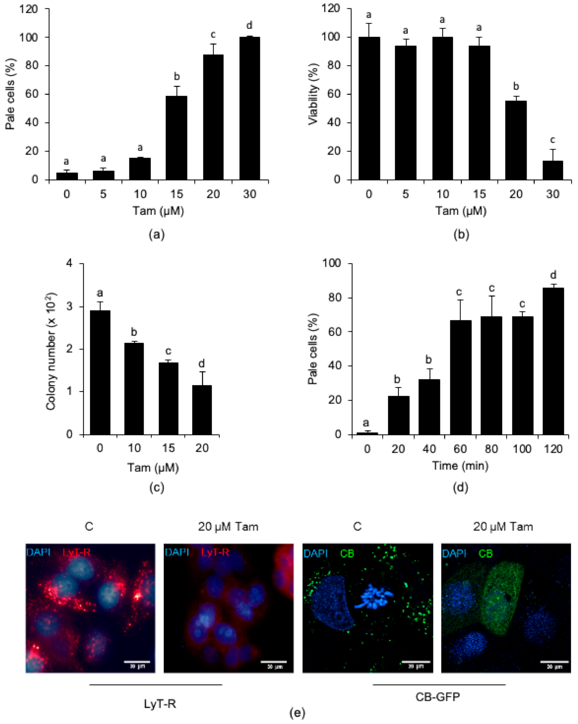 Cancers 13 01252 g003